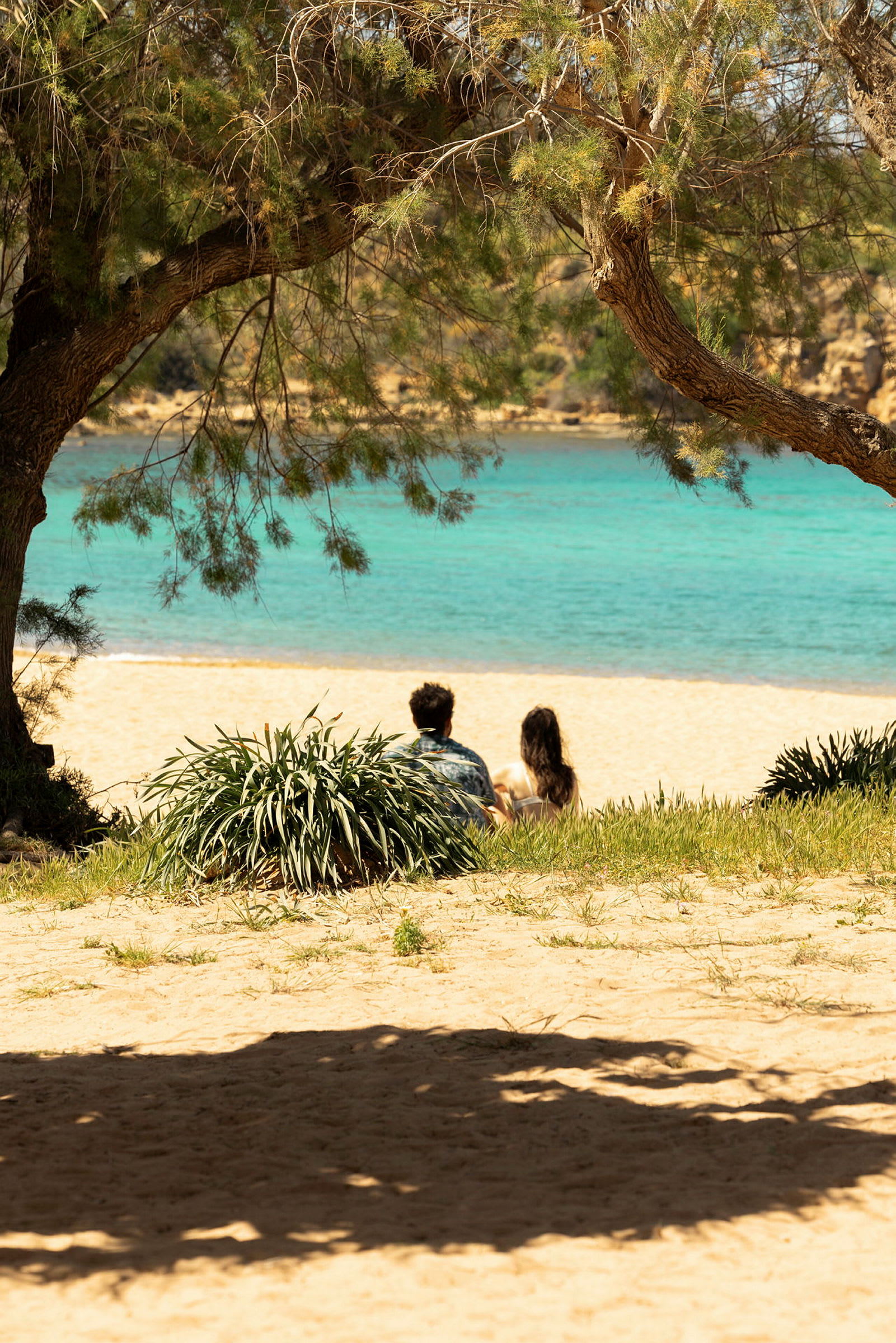En strand med två personer som sitter på sanden, omgivna av träd och gröna växter. (AI-genererad text)