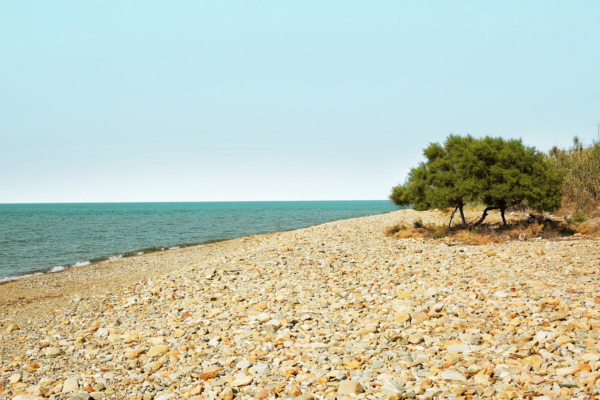 En stenstrand med ett träd vid kanten och havet i bakgrunden. (AI-genererad text)