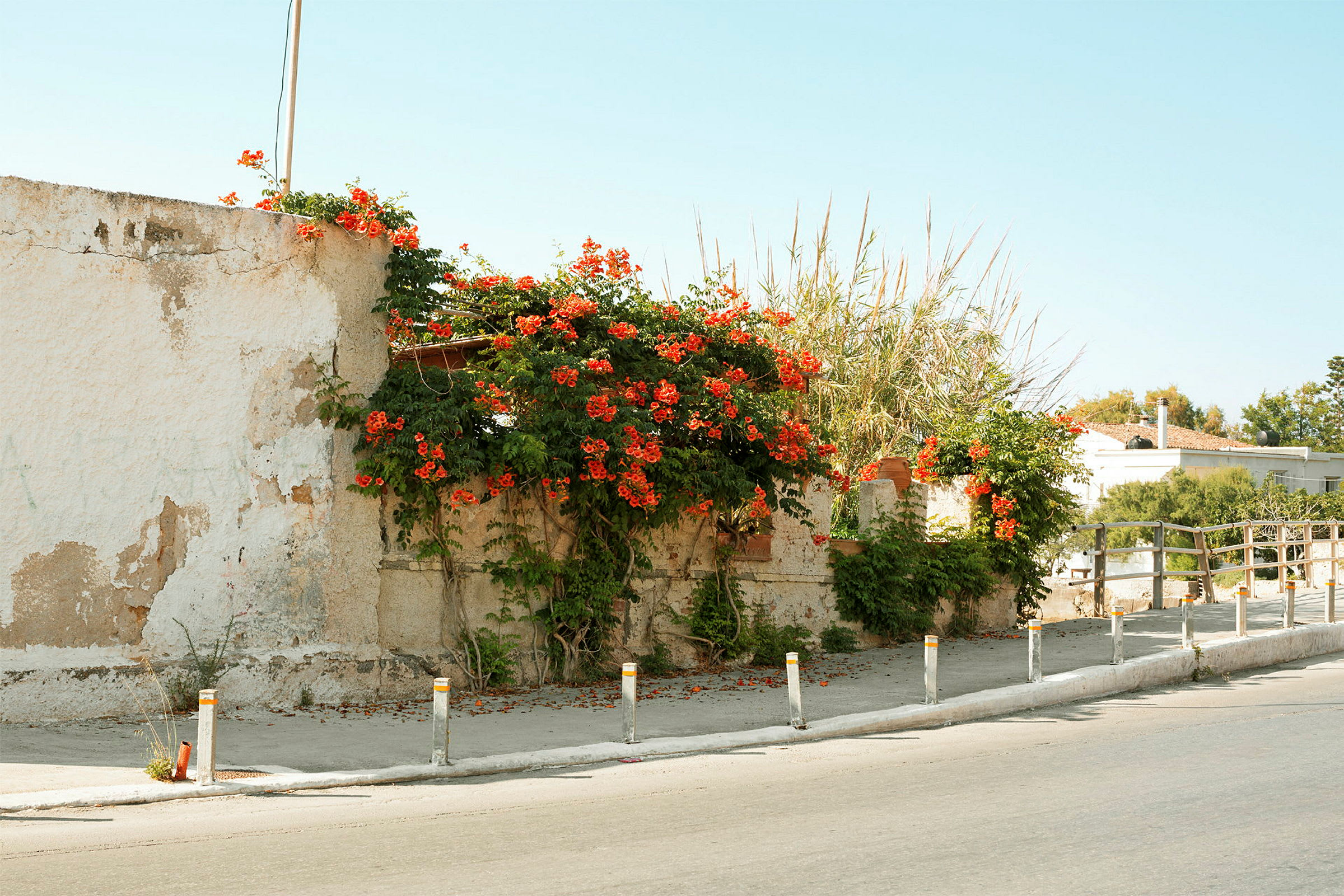 En mur med röda blommor och grönska växer över den. (AI-genererad text)