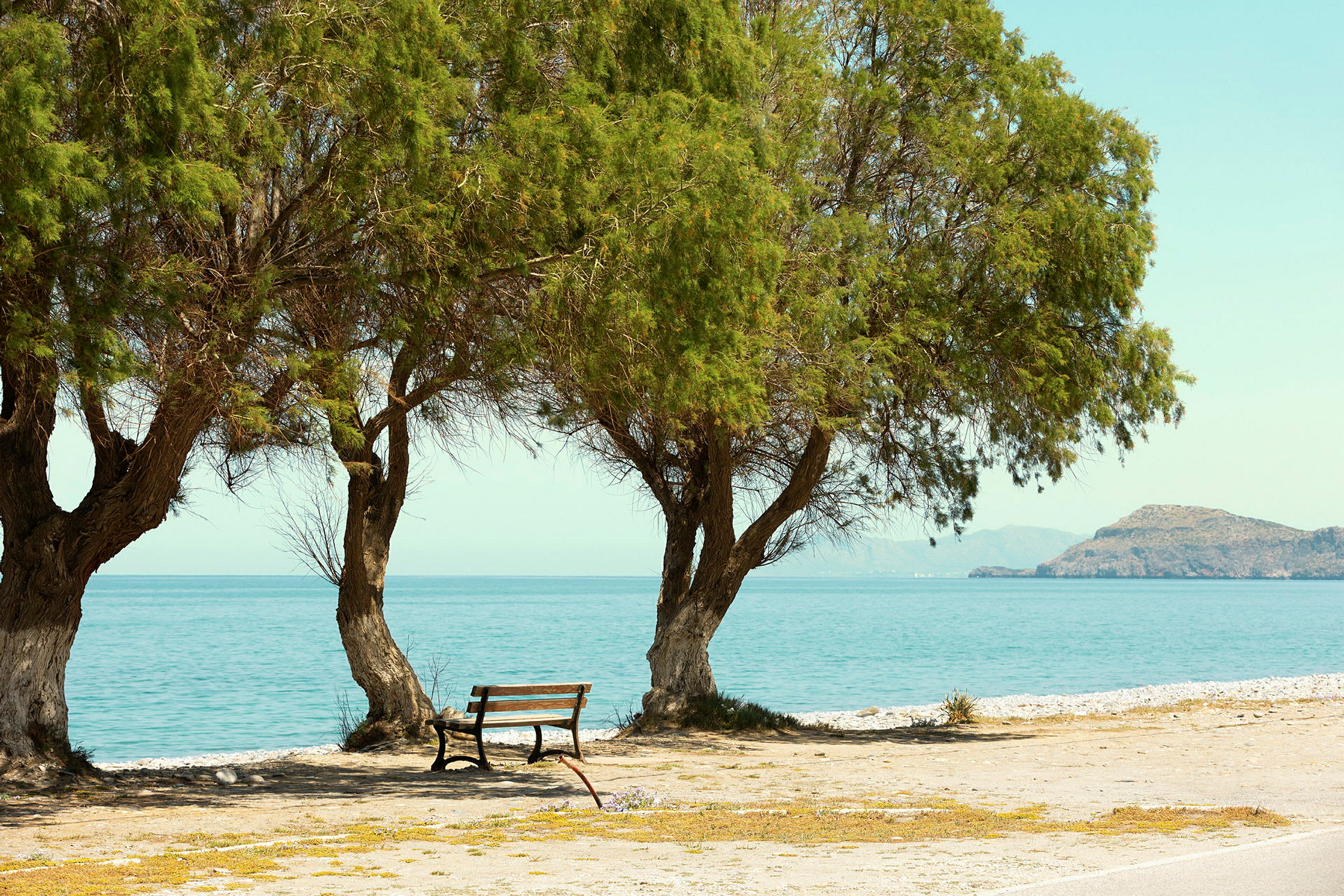Strand med träd och en parkbänk, havet och en ö i bakgrunden. (AI-genererad text)