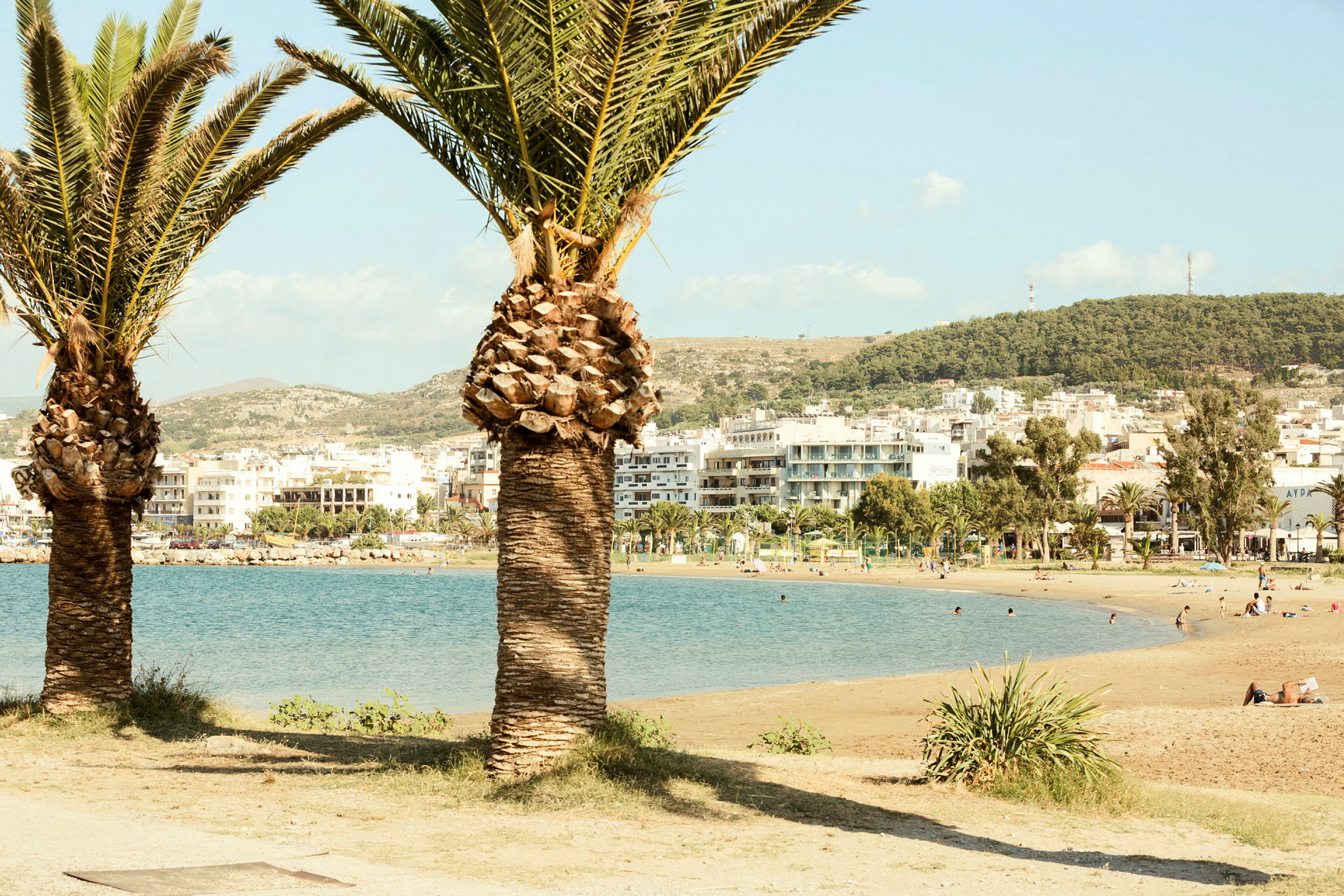 Två palmer med en sandstrand och hav i bakgrunden. Flera byggnader och kullar syns längre bort. (AI-genererad text)