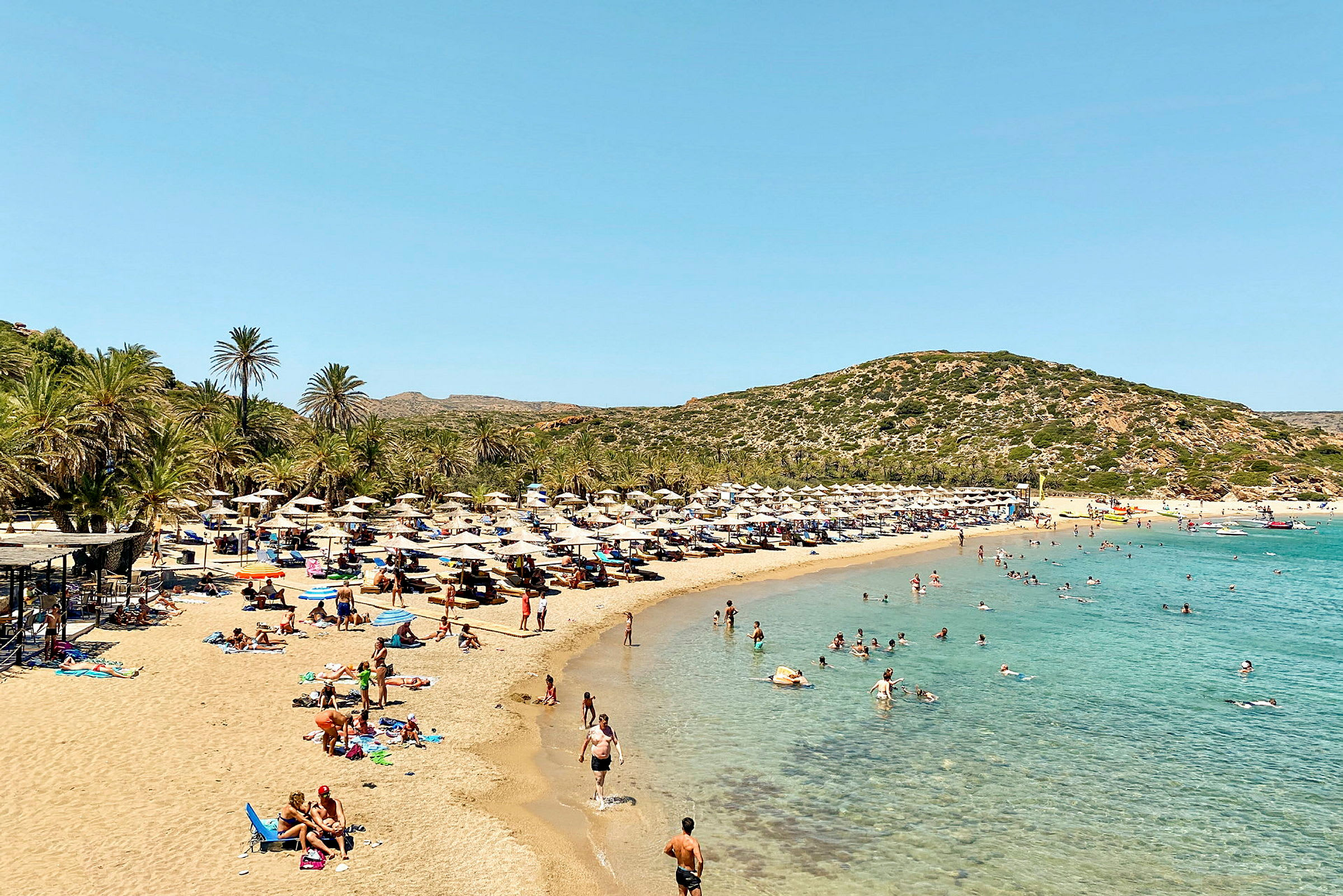En sandstrand med turkost vatten, flankerad av solstolar och parasoller under palmer. (AI-genererad text)