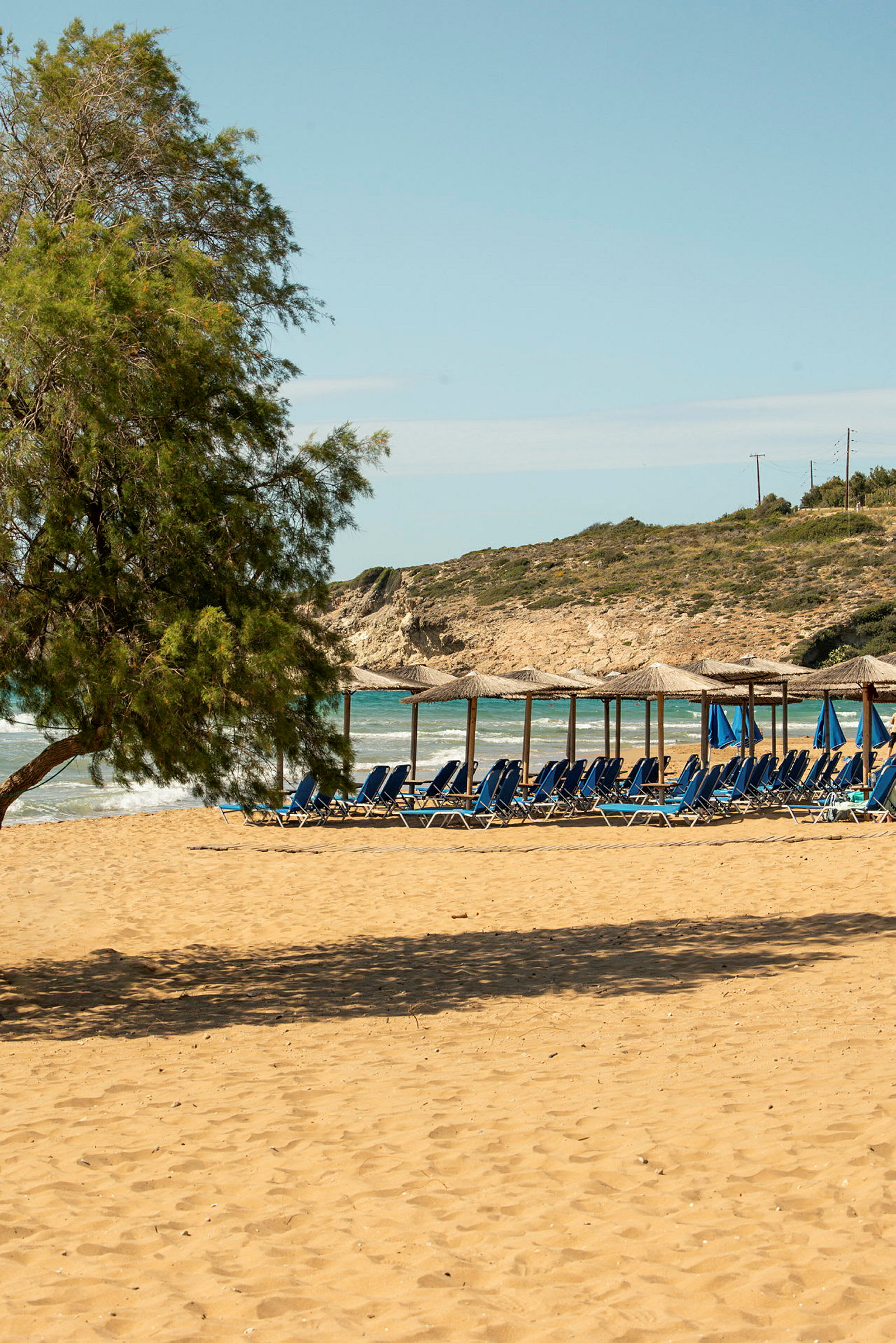 En strand med solstolar och parasoller, samt ett träd i förgrunden. (AI-genererad text)