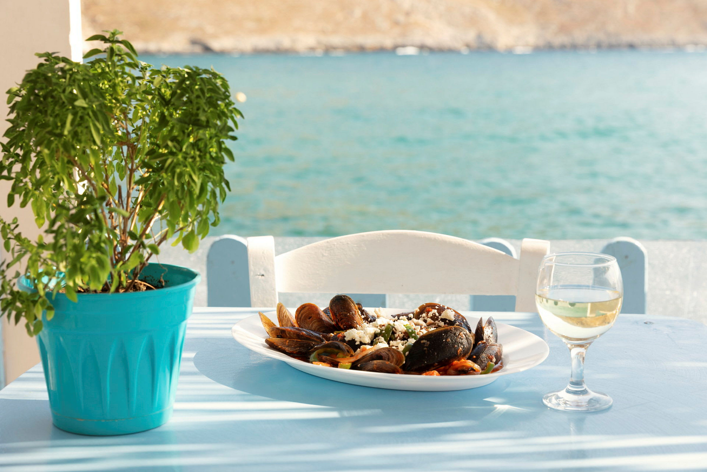 En tallrik med skaldjur och ett glas vitt vin står på ett bord bredvid en grön växt med havet i bakgrunden. (AI-genererad text)