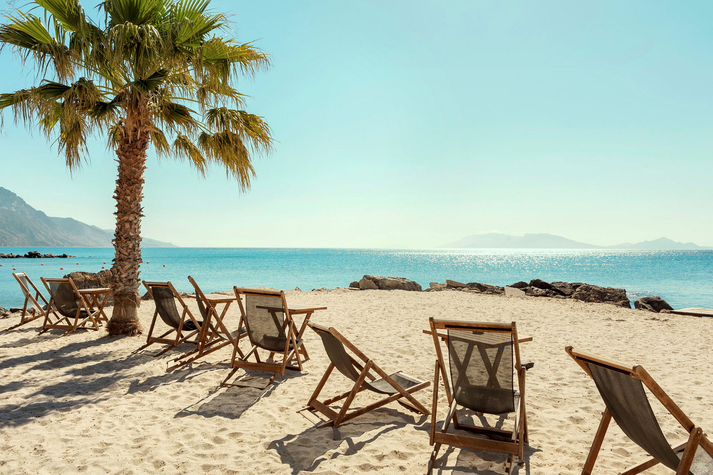 Solstolar på en sandstrand med en palm och utsikt över havet. (AI-genererad text)