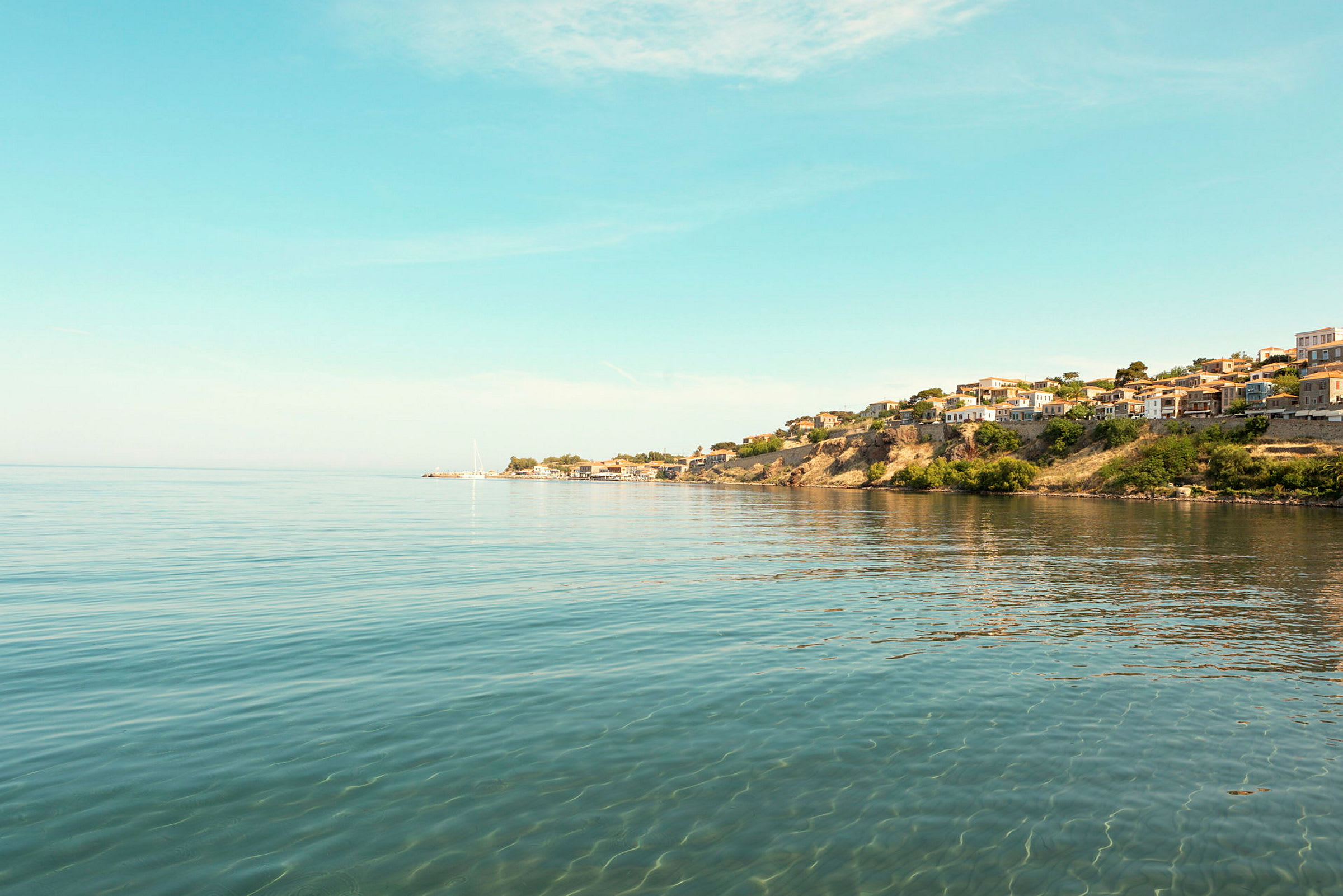 Vy över en kust med hus på en klippa vid havet. (AI-genererad text)