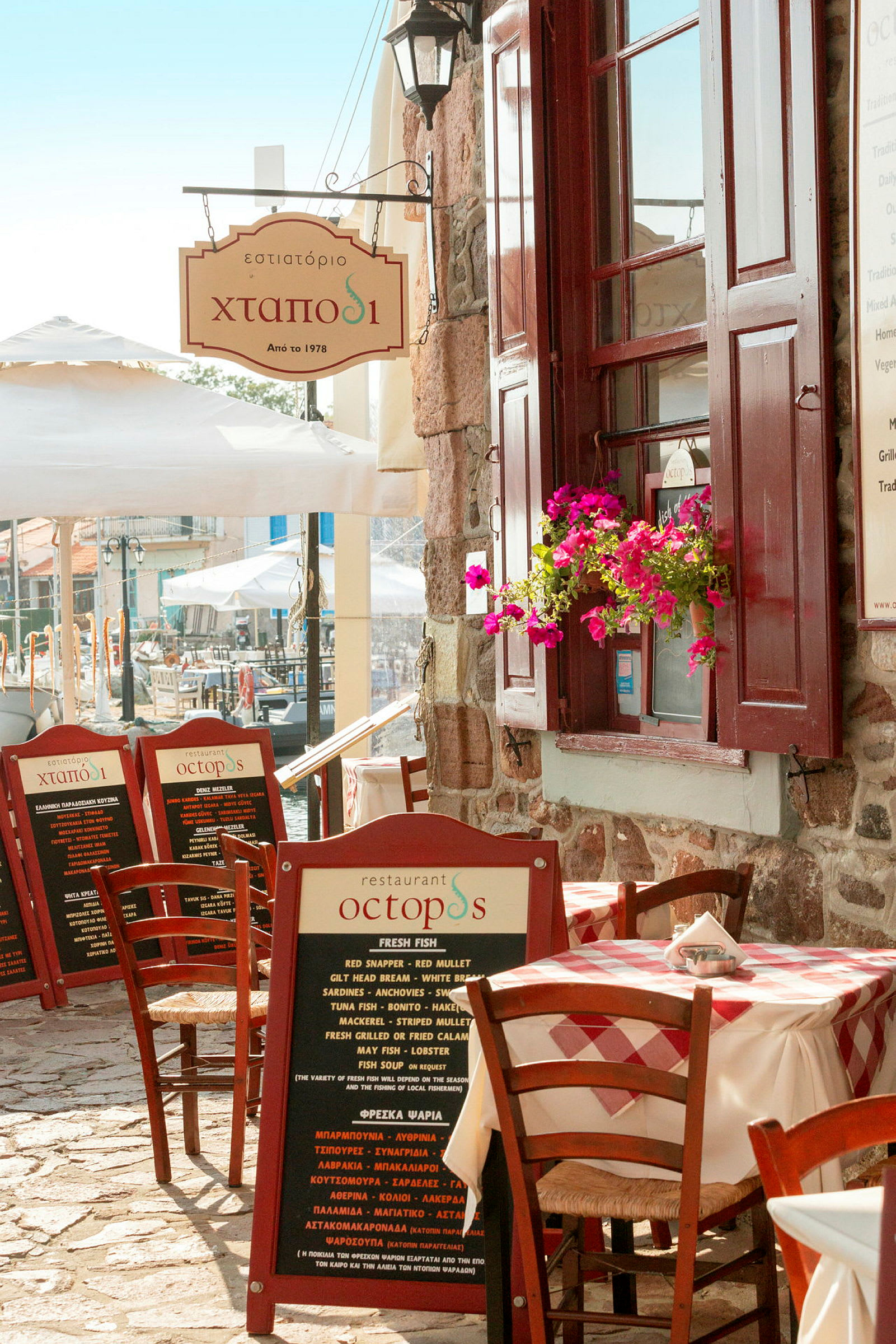 Exteriör av en restaurang med uteservering och en skylt med texten 'Octopus'. (AI-genererad text)