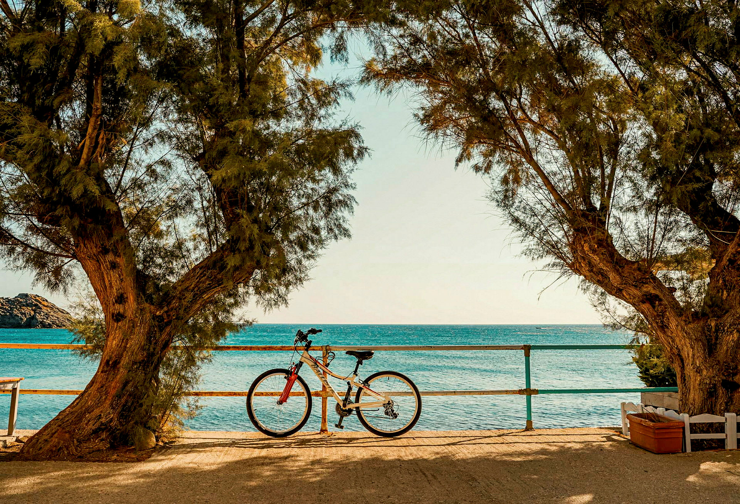 Cykel vid staket mellan två träd, med havet i bakgrunden. (AI-genererad text)