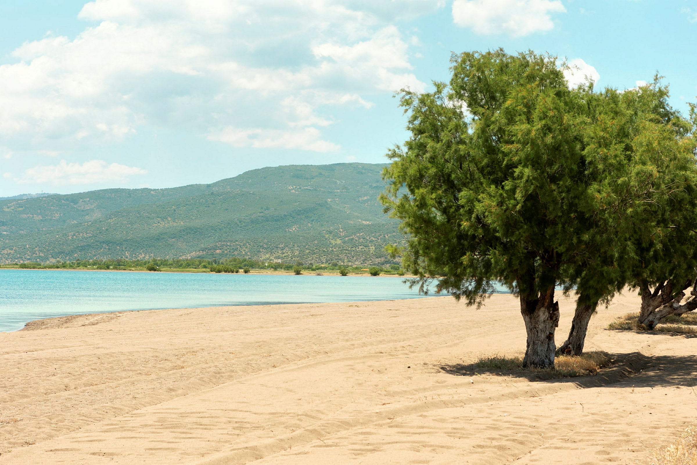 En sandstrand med gröna träd och en sjö framför en bergskullar. (AI-genererad text)
