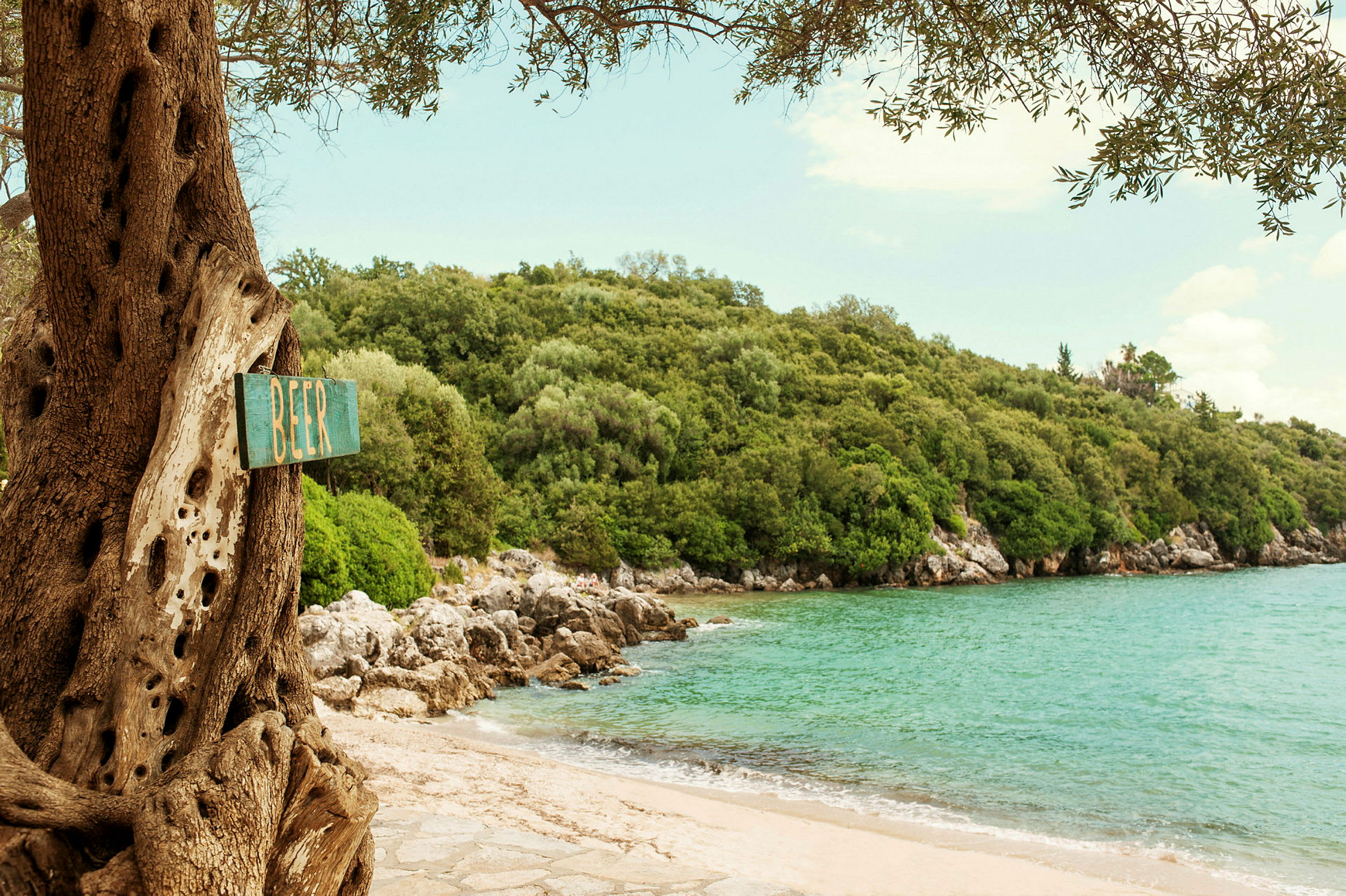 Skylt på ett träd med texten 'Beer' vid en strand med gröna träd. (AI-genererad text)