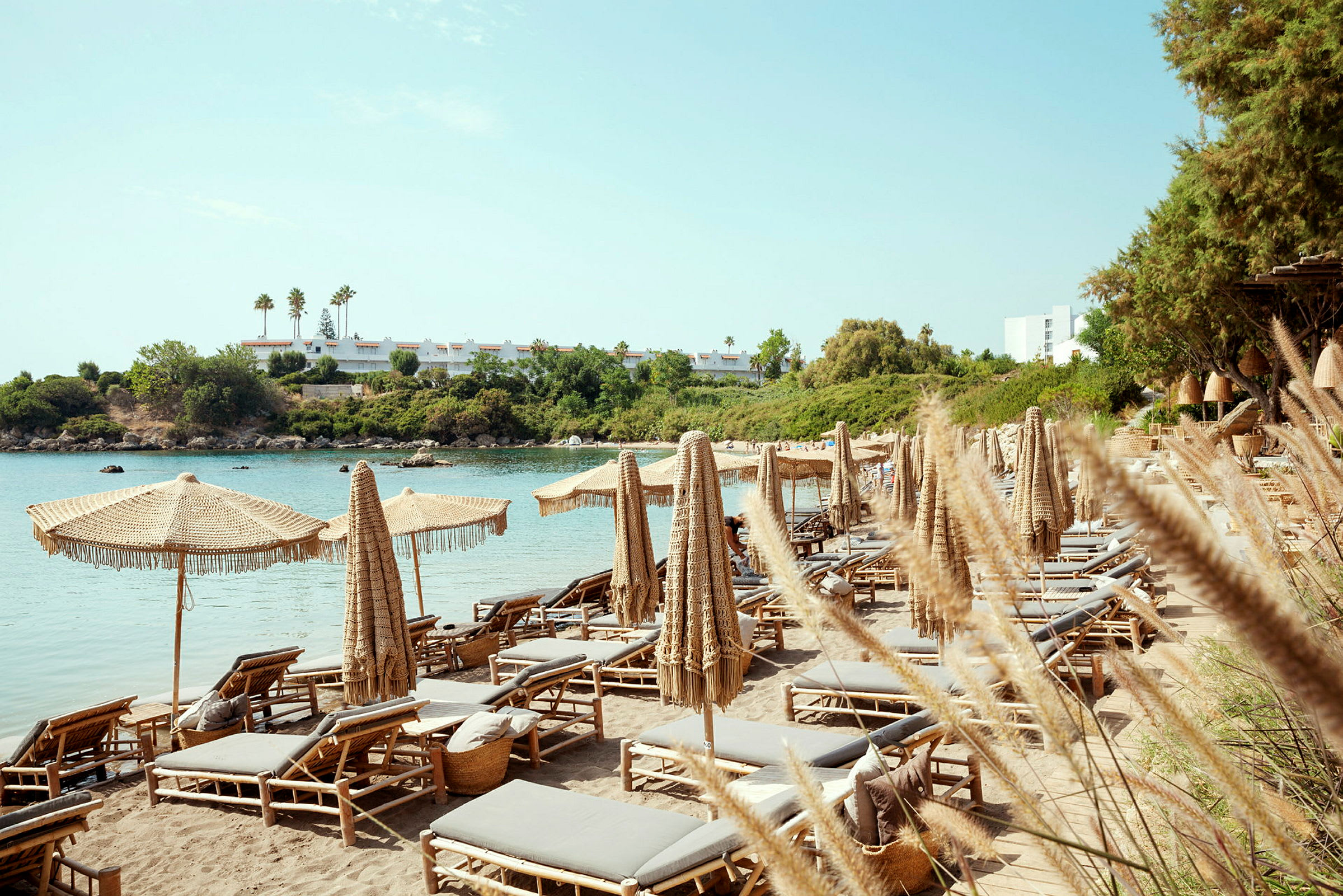 Strand med solstolar och parasoller nära vatten, gröna träd i bakgrunden. (AI-genererad text)