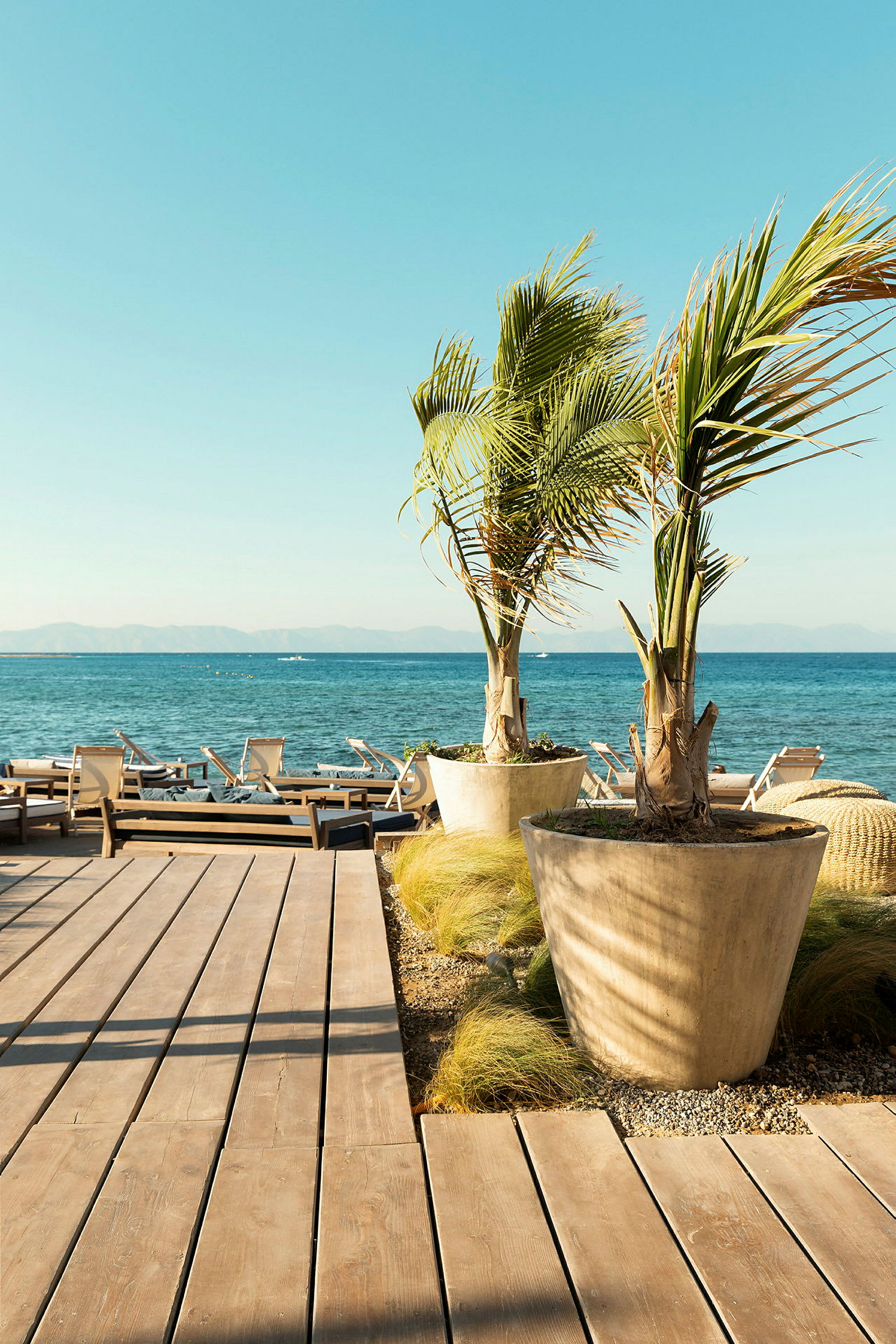Träterrass med planterade palmer och solstolar i bakgrunden vid havet. (AI-genererad text)