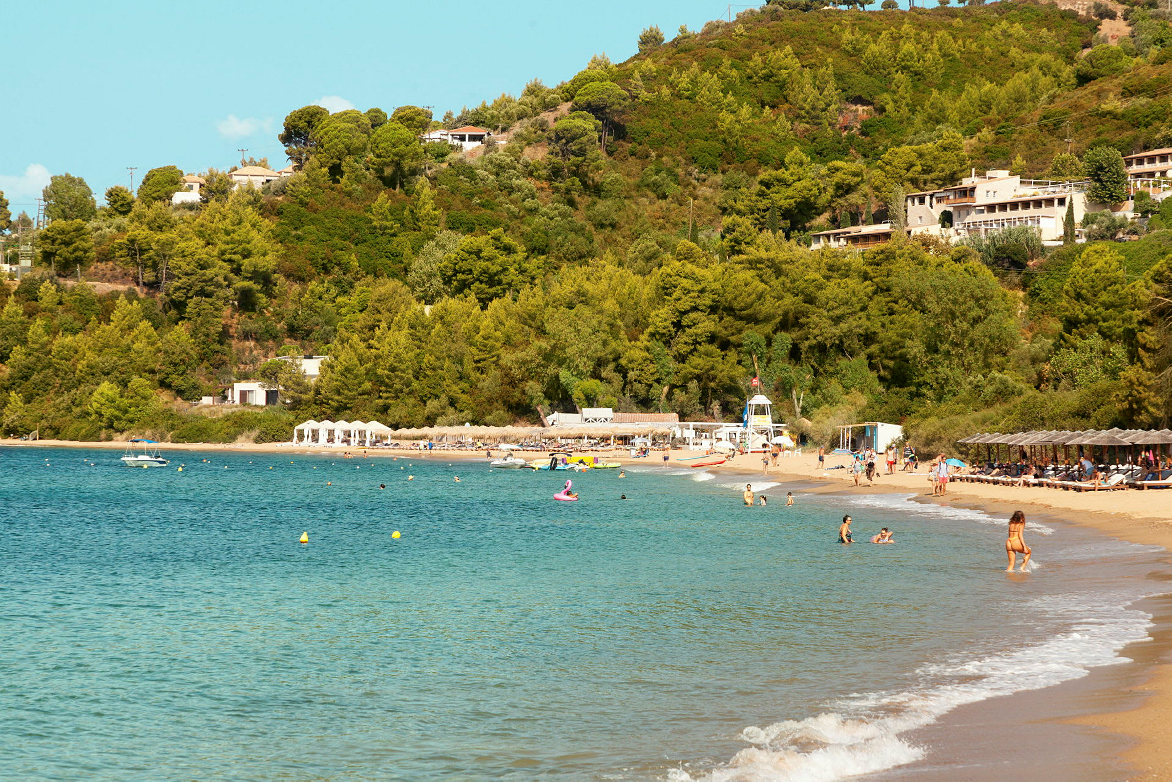 Strand med människor, omgiven av grönska. (AI-genererad text)