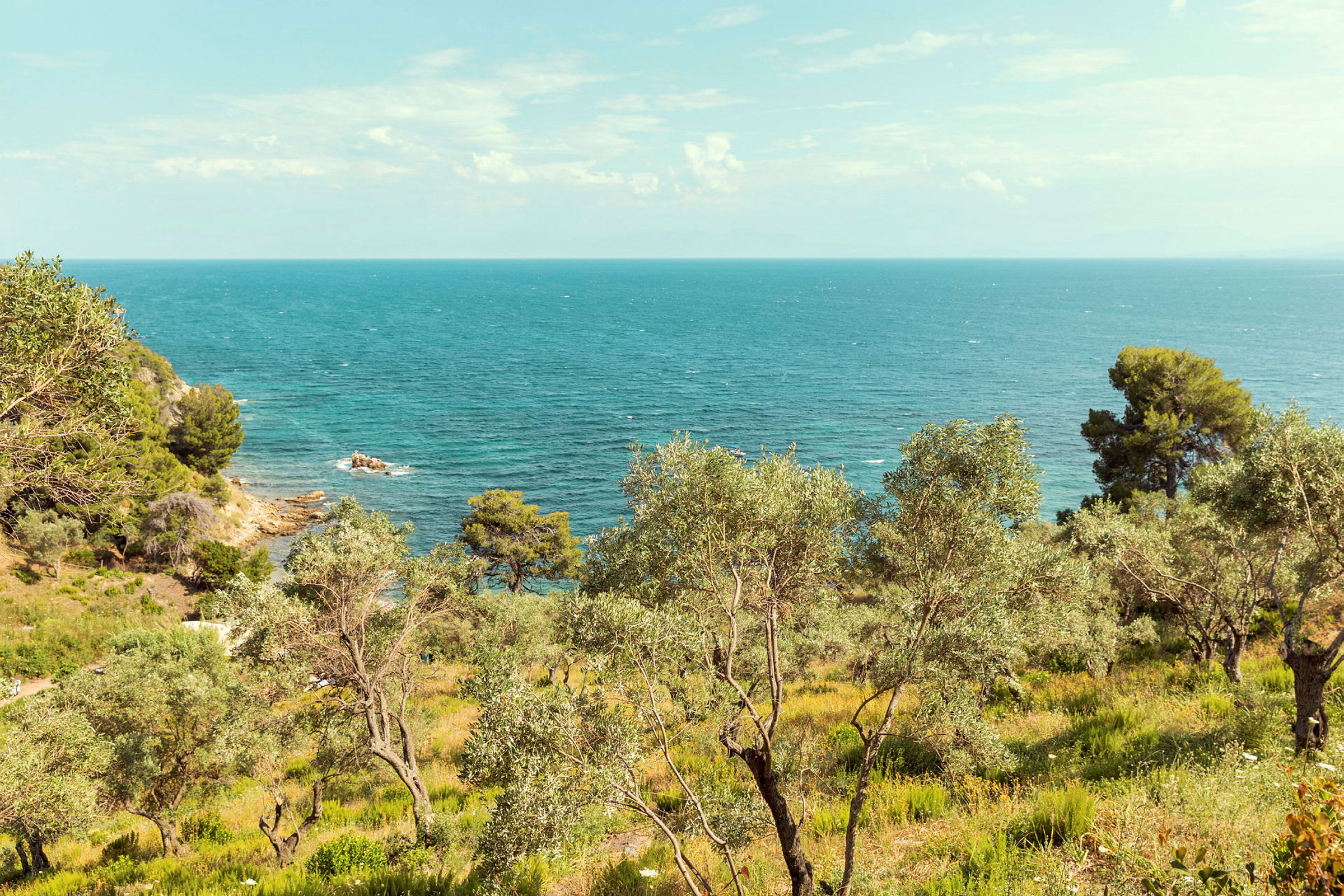 Utsikt över havet med olivträd i förgrunden. (AI-genererad text)