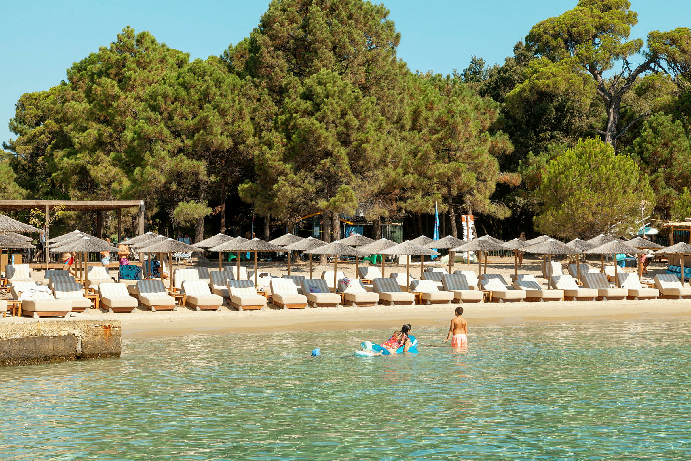 Strand med solstolar och parasoller i förgrunden, omgivna av grönskande träd. (AI-genererad text)