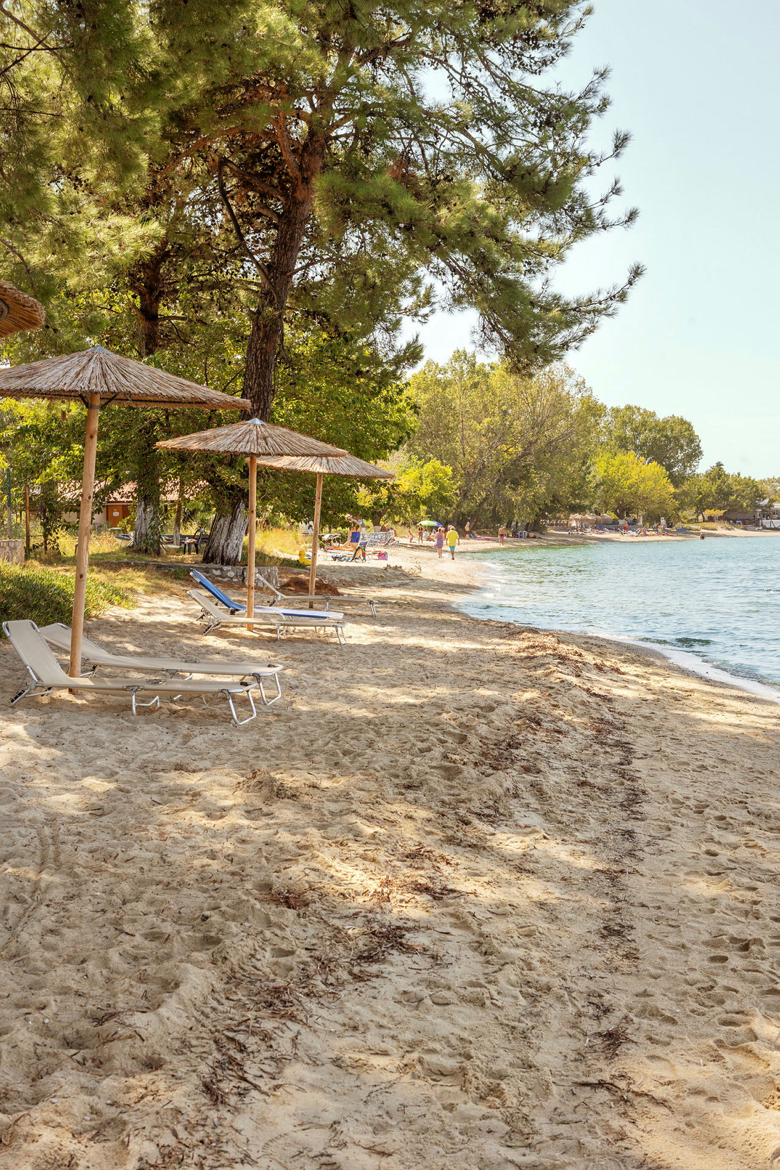 En strand med solstolar och parasoller samt träd i bakgrunden. (AI-genererad text)