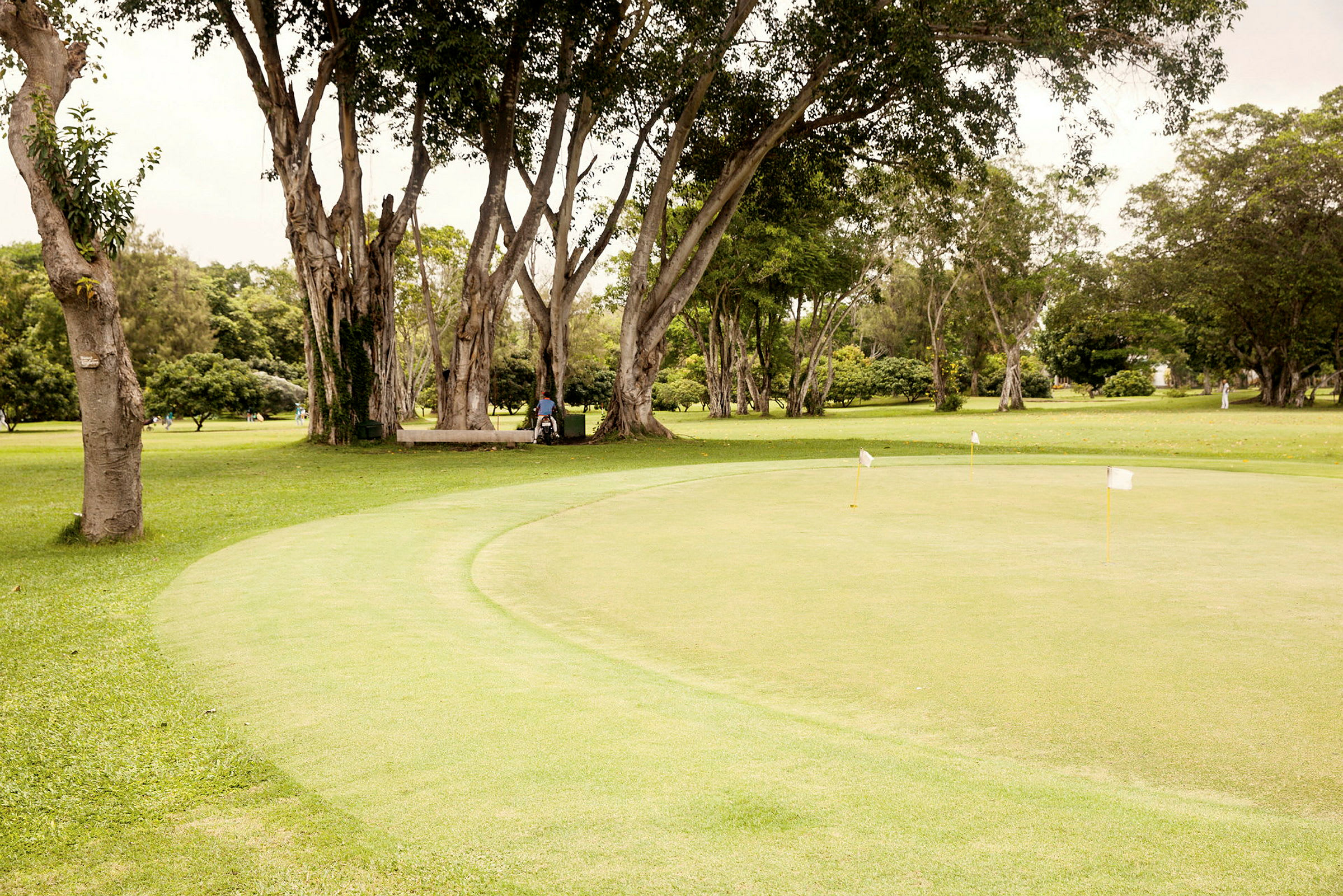 En välansad golfgreen med flaggor omgiven av grönska och träd. (AI-genererad text)