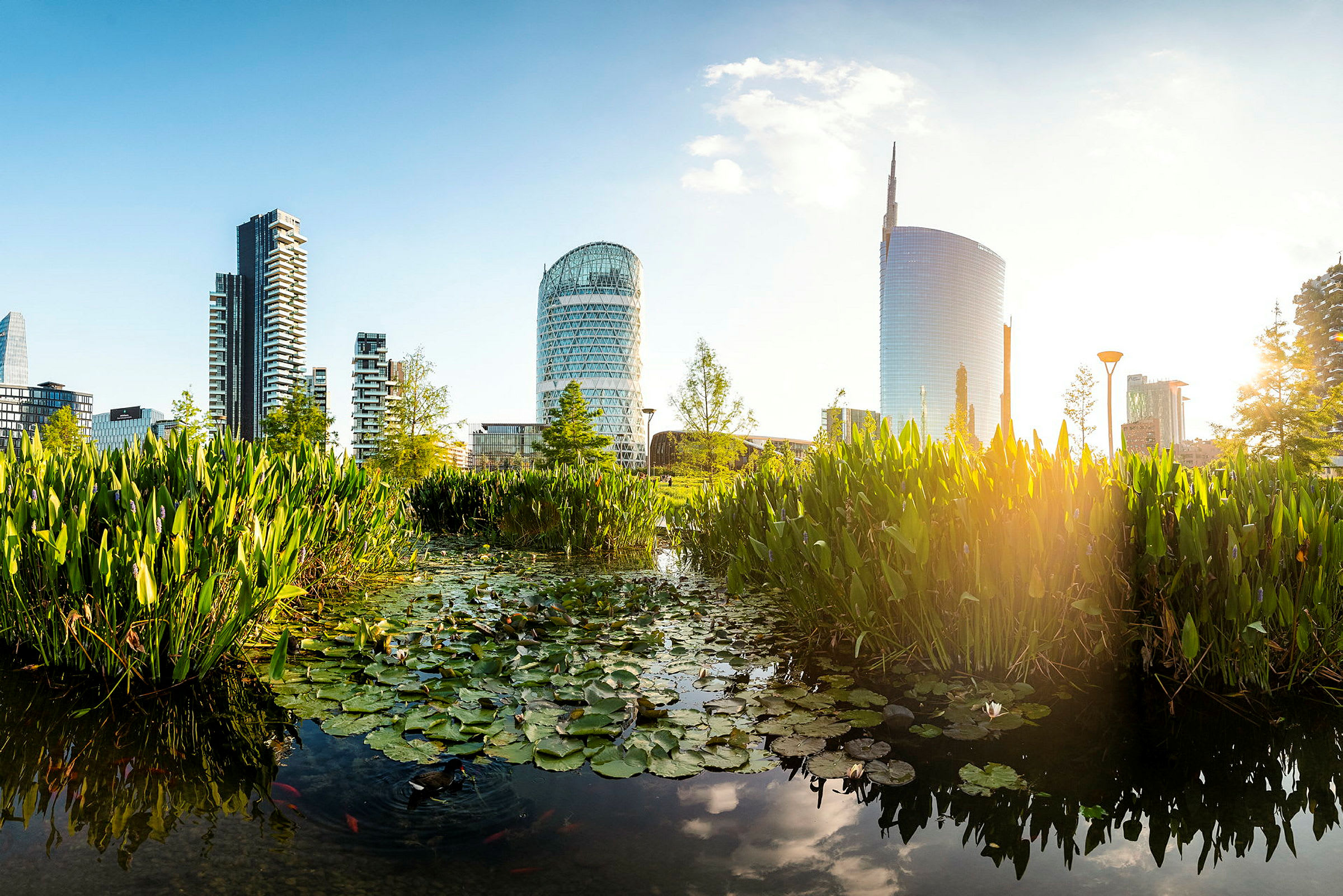 En stadsscen med moderna skyskrapor i bakgrunden över ett vattenlandskap med näckrosor och vegetation. (AI-genererad text)