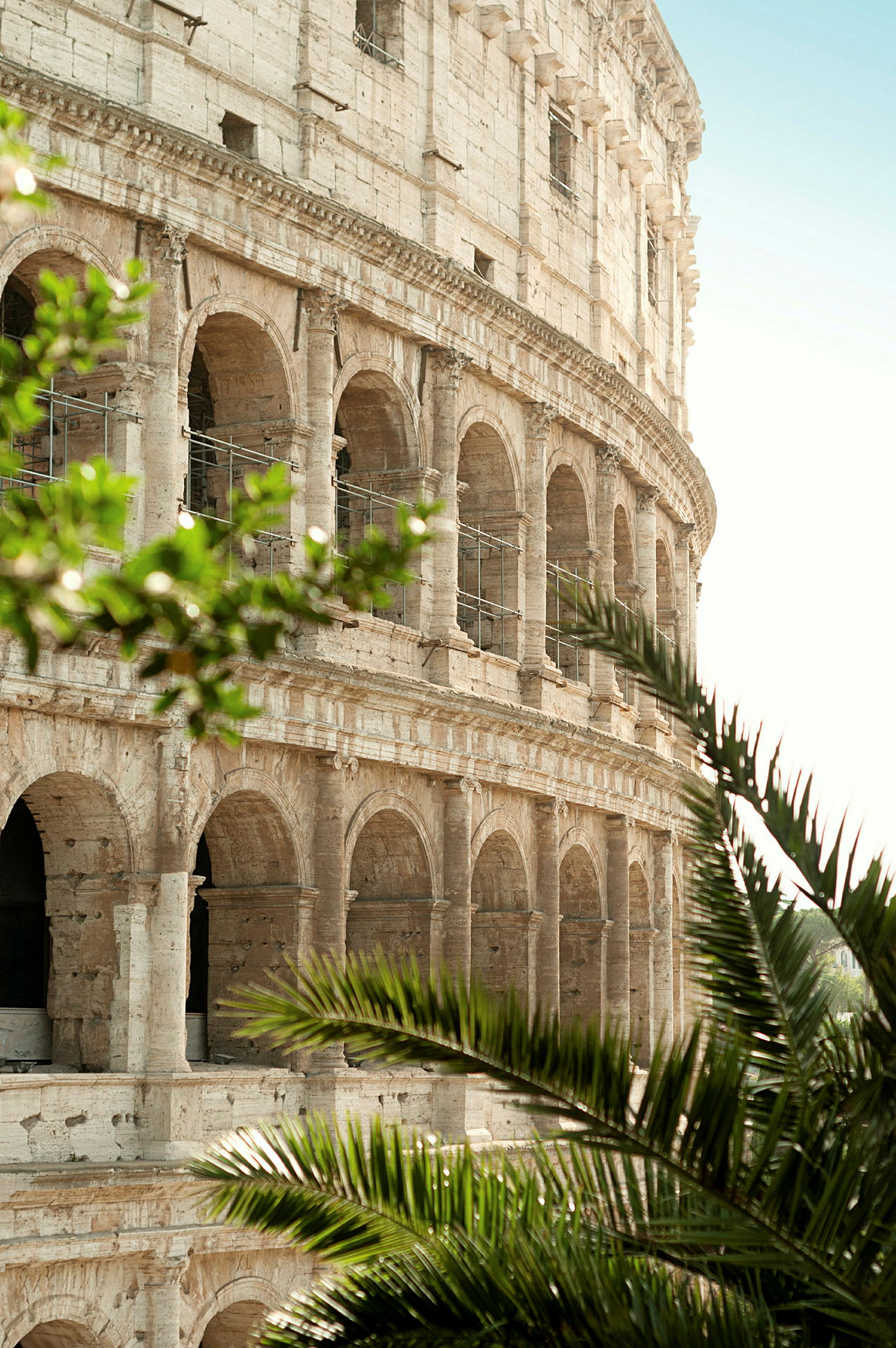 Colosseum i Rom med gröna växter i förgrunden. (AI-genererad text)