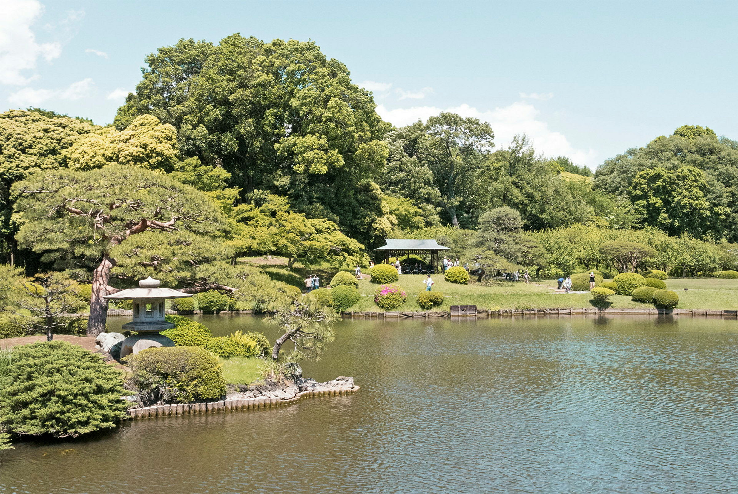 En lugn japansk trädgård med damm och omgivande grönska. (AI-genererad text)