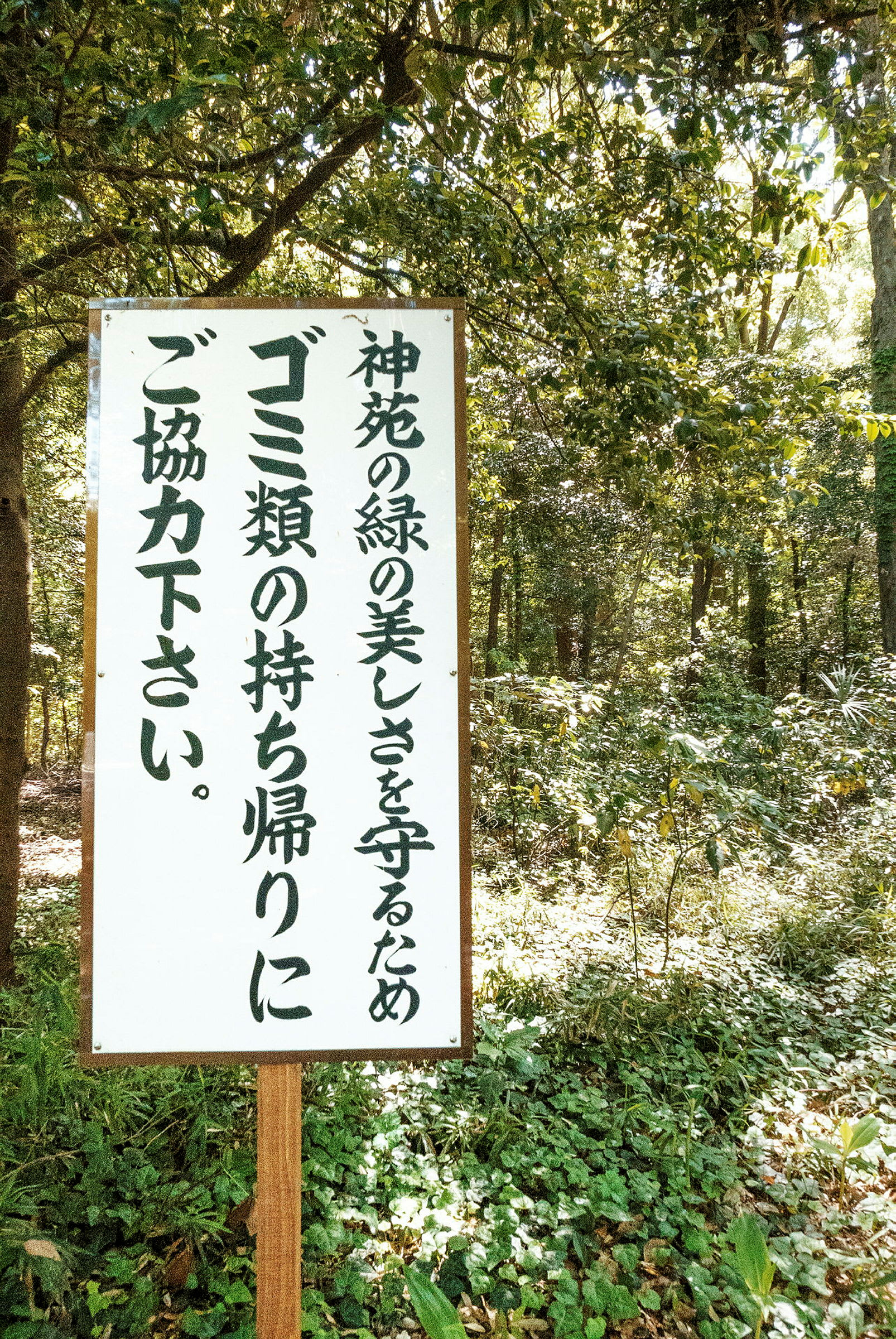 En skylt med japansk text står i en grönskande skog. (AI-genererad text)