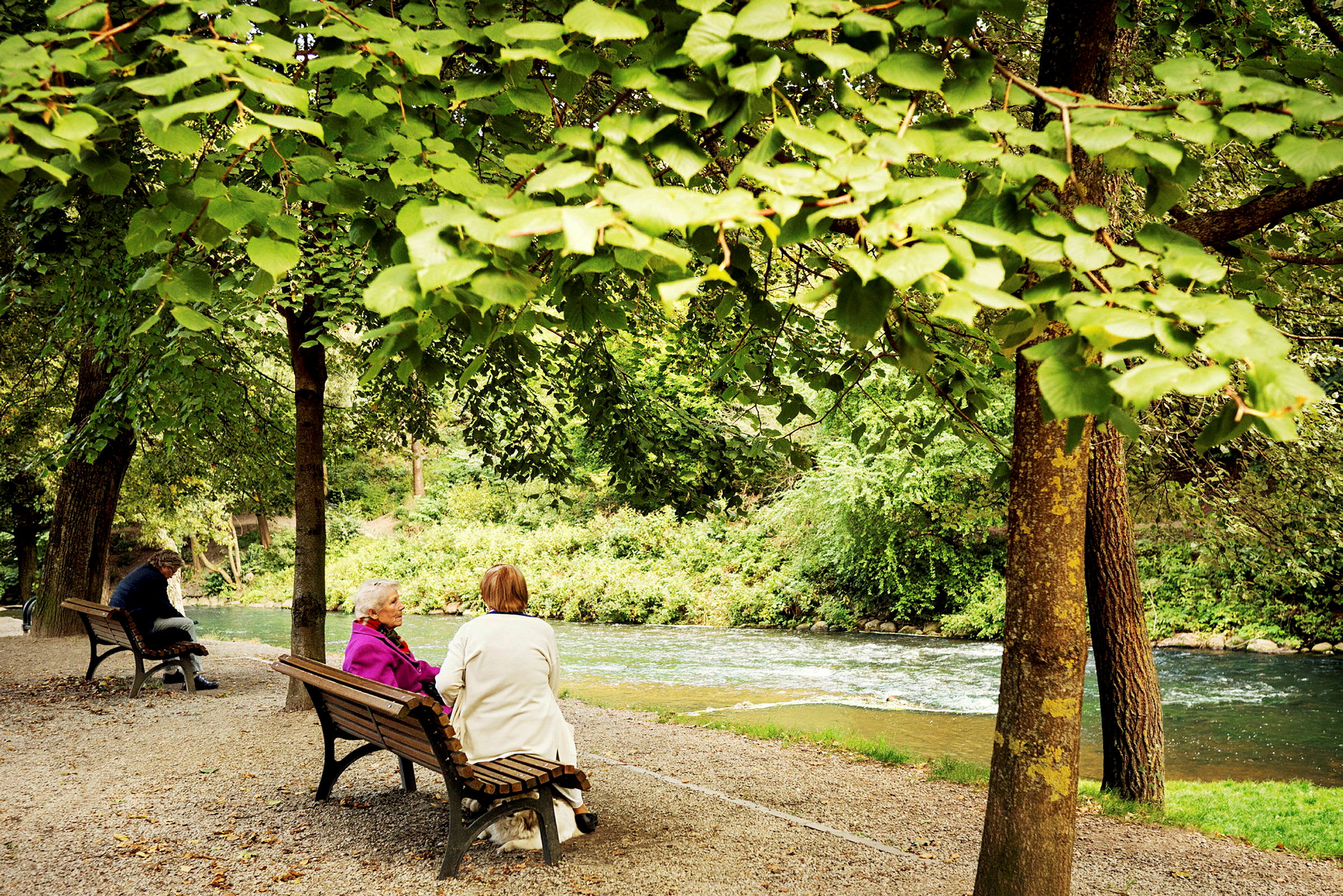En park med träd och en flod där människor sitter på bänkar. (AI-genererad text)