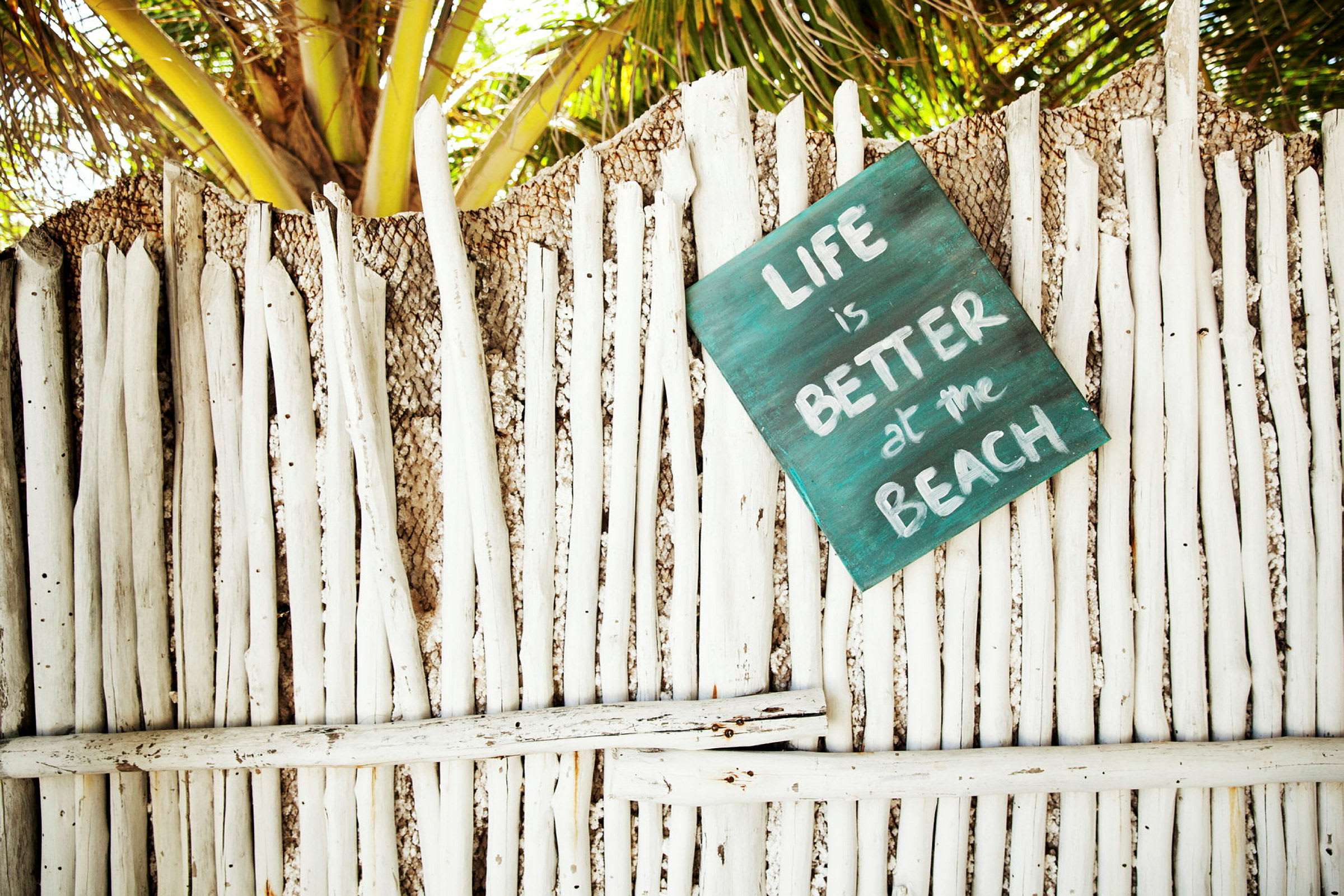 Ett staket av vita bambupinnar med en skylt som säger "Life is better at the Beach". I bakgrunden syns palmblad. (AI-genererad text)