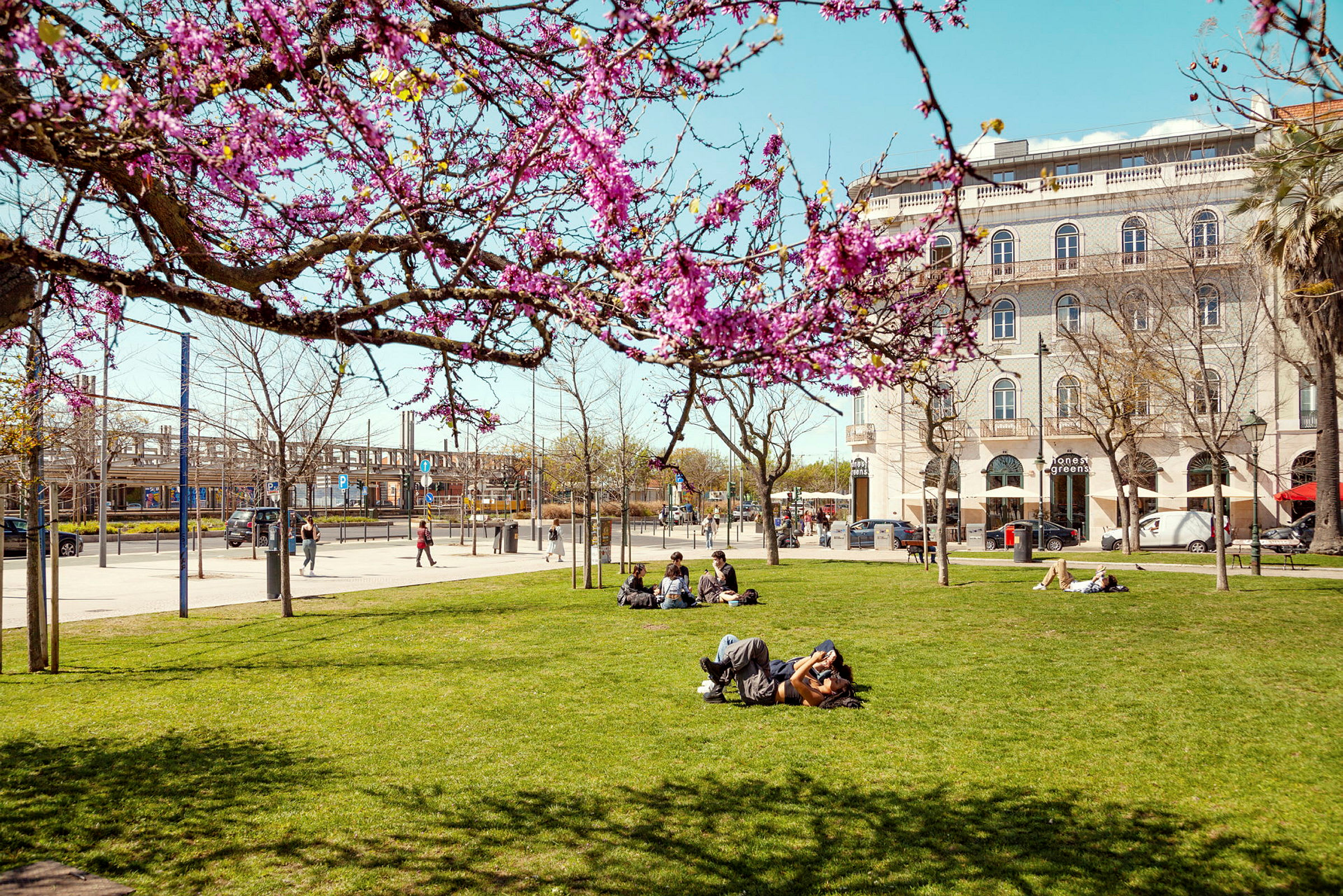 Grön park med blommande träd, sittande människor och en byggnad i bakgrunden. (AI-genererad text)