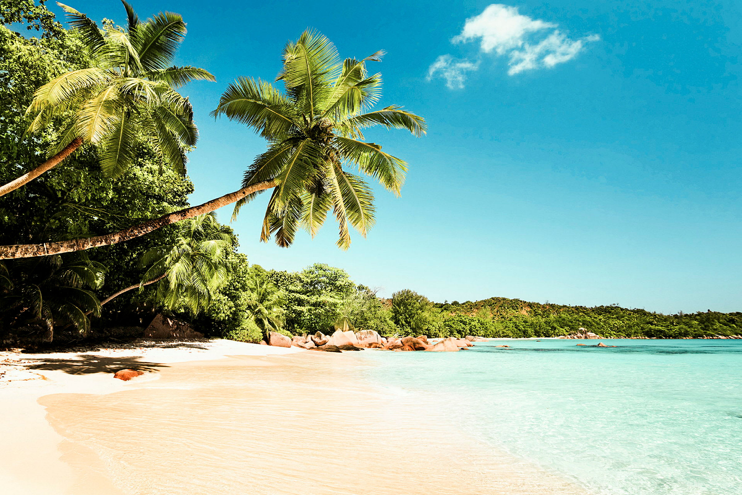 En strand med vit sand, palmer och turkost hav. (AI-genererad text)
