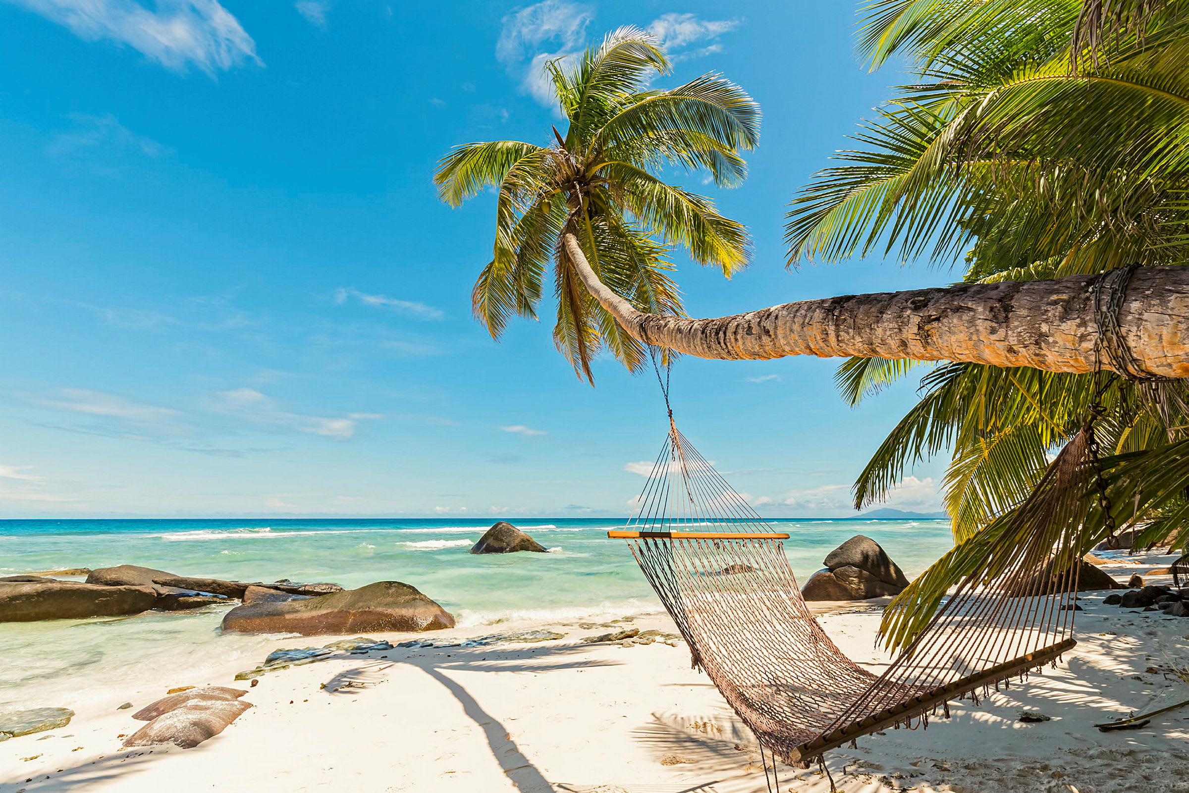 En hängmatta hänger från en lutande palm på en sandstrand vid det turkosa havet. (AI-genererad text)