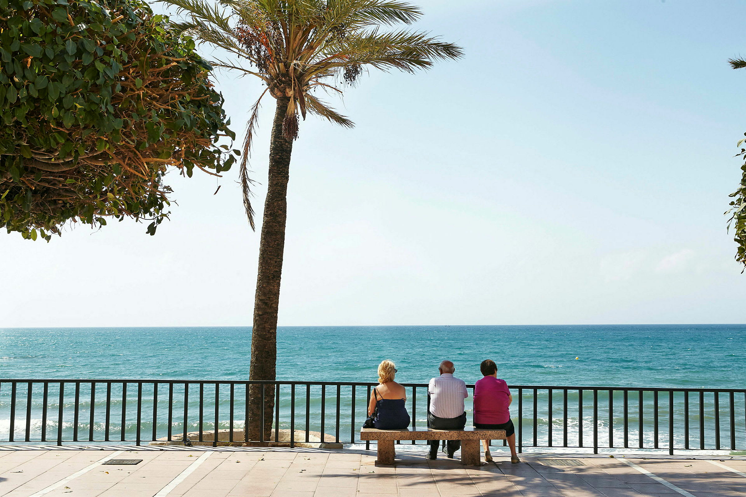 Tre personer sitter på en bänk vid havet, omgivna av träd och en palm. (AI-genererad text)