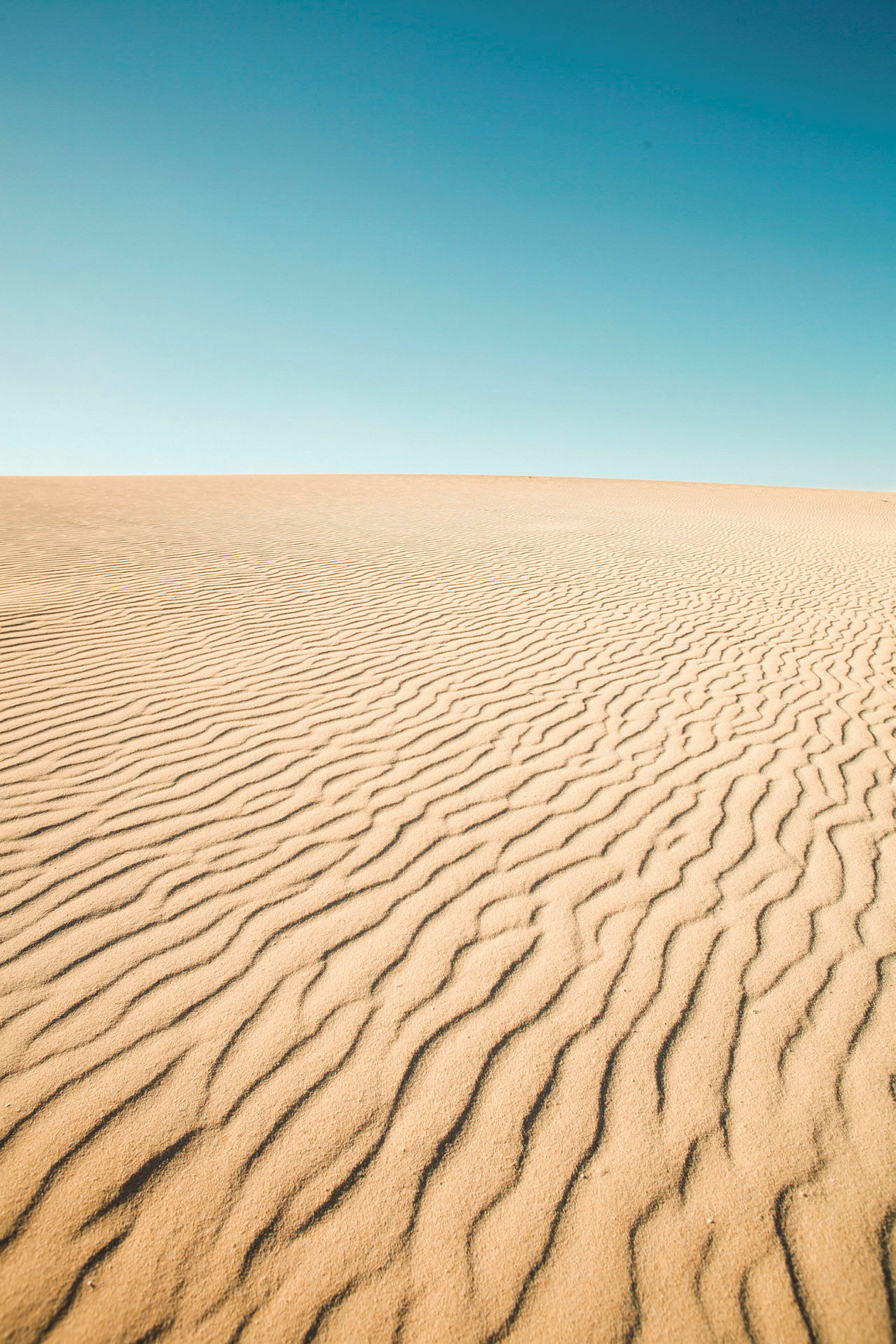 En sandig öken med vågiga sandmönster och klar blå himmel ovanför. (AI-genererad text)