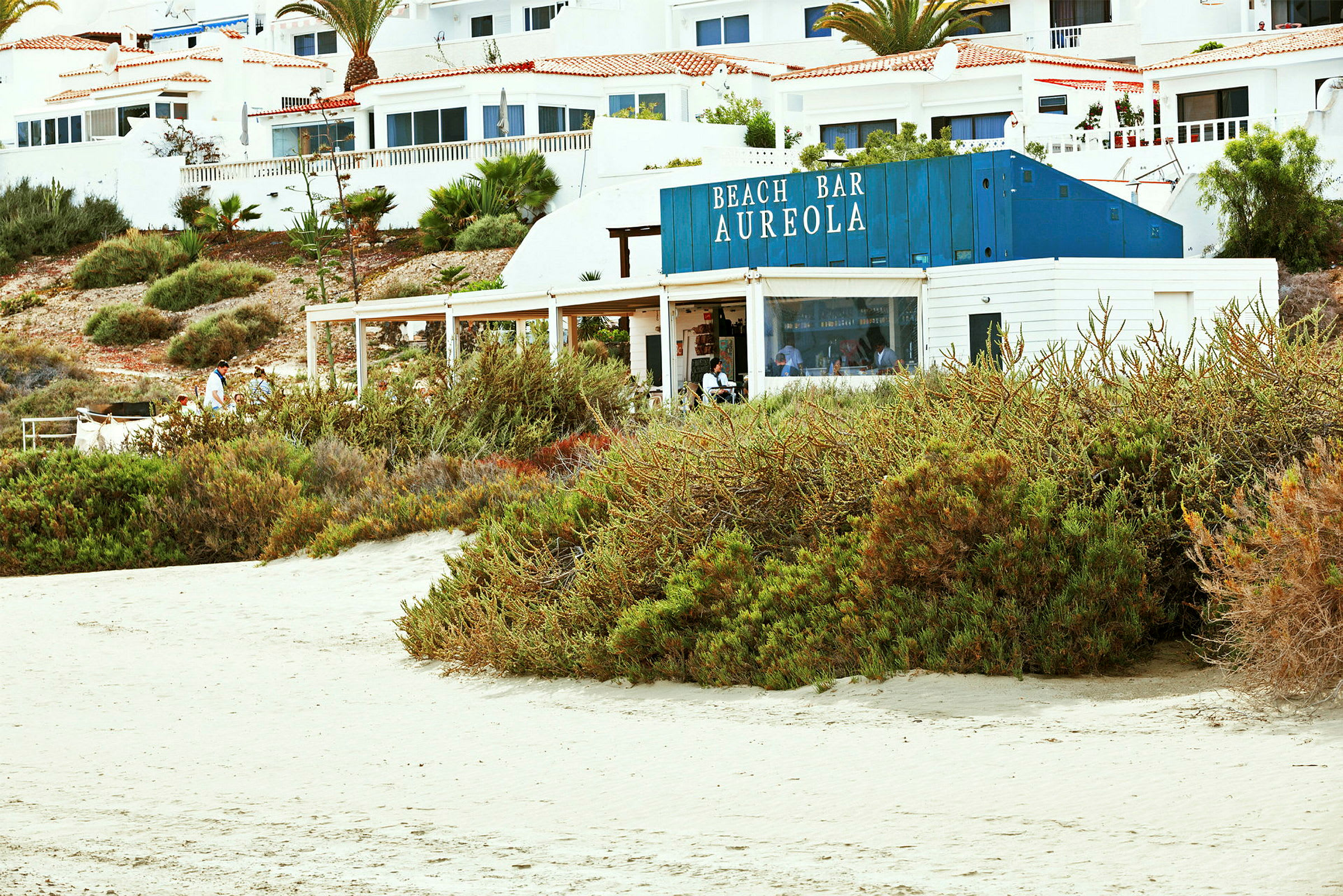 En strandbar vid namn Aureola med vitmålade byggnader och grön vegetation runtomkring, belägen vid stranden. (AI-genererad text)