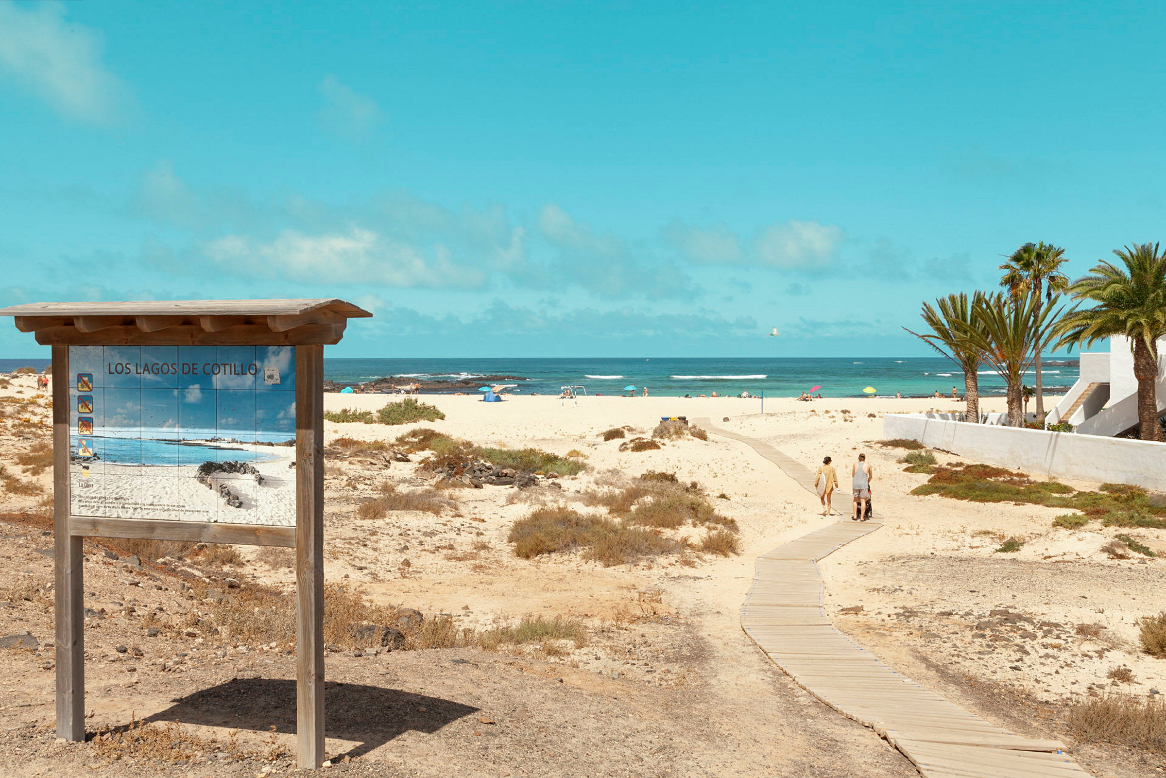 Bild av en sandstrand med en skylt för stranden Los Lagos de Cotillo i förgrunden. En gångväg leder ner till havet, omgiven av sanddyner och palmer. (AI-genererad text)
