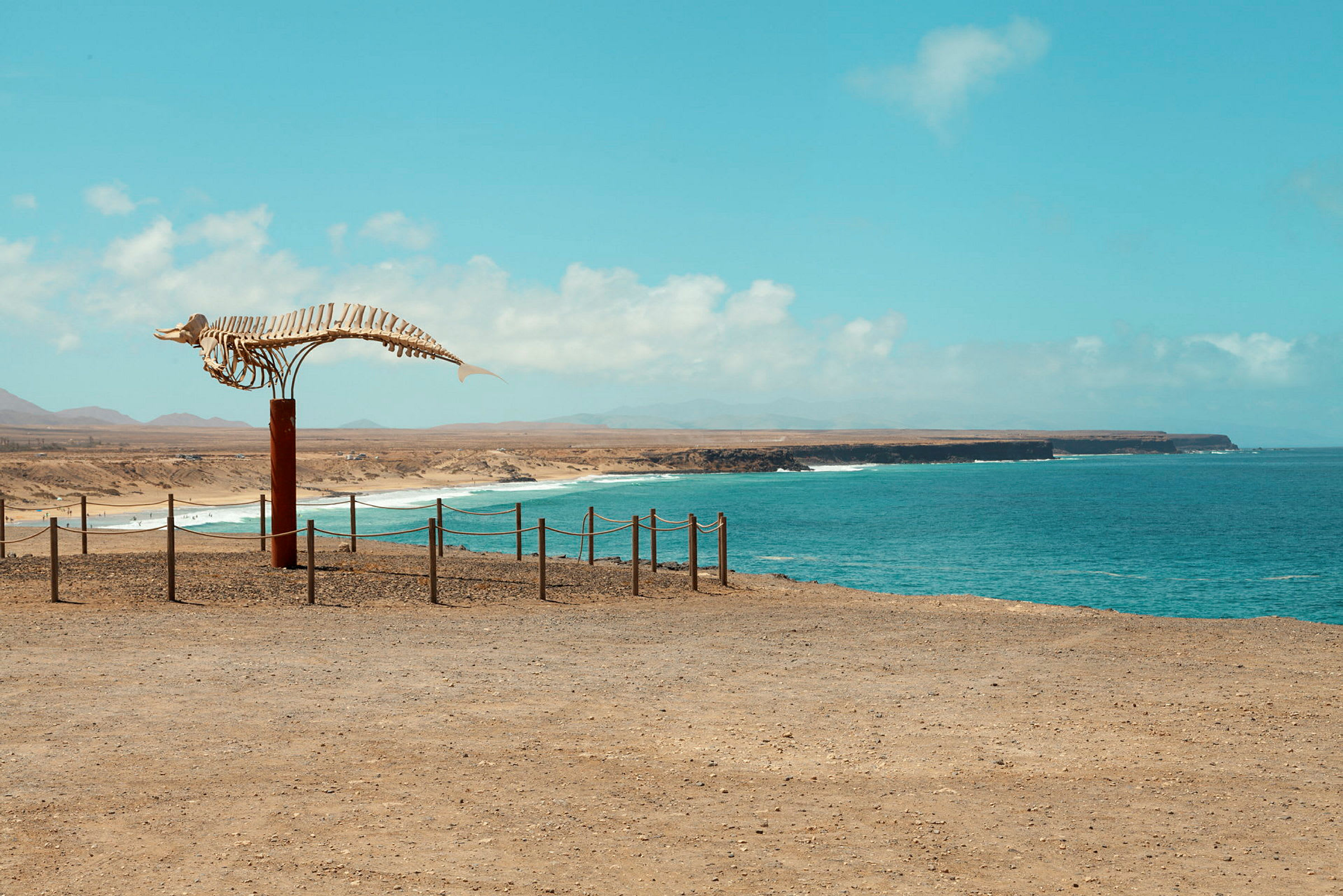 Ett valfossil står uppställt vid kusten med en sandig strand och blå hav i bakgrunden under en klar himmel. (AI-genererad text)