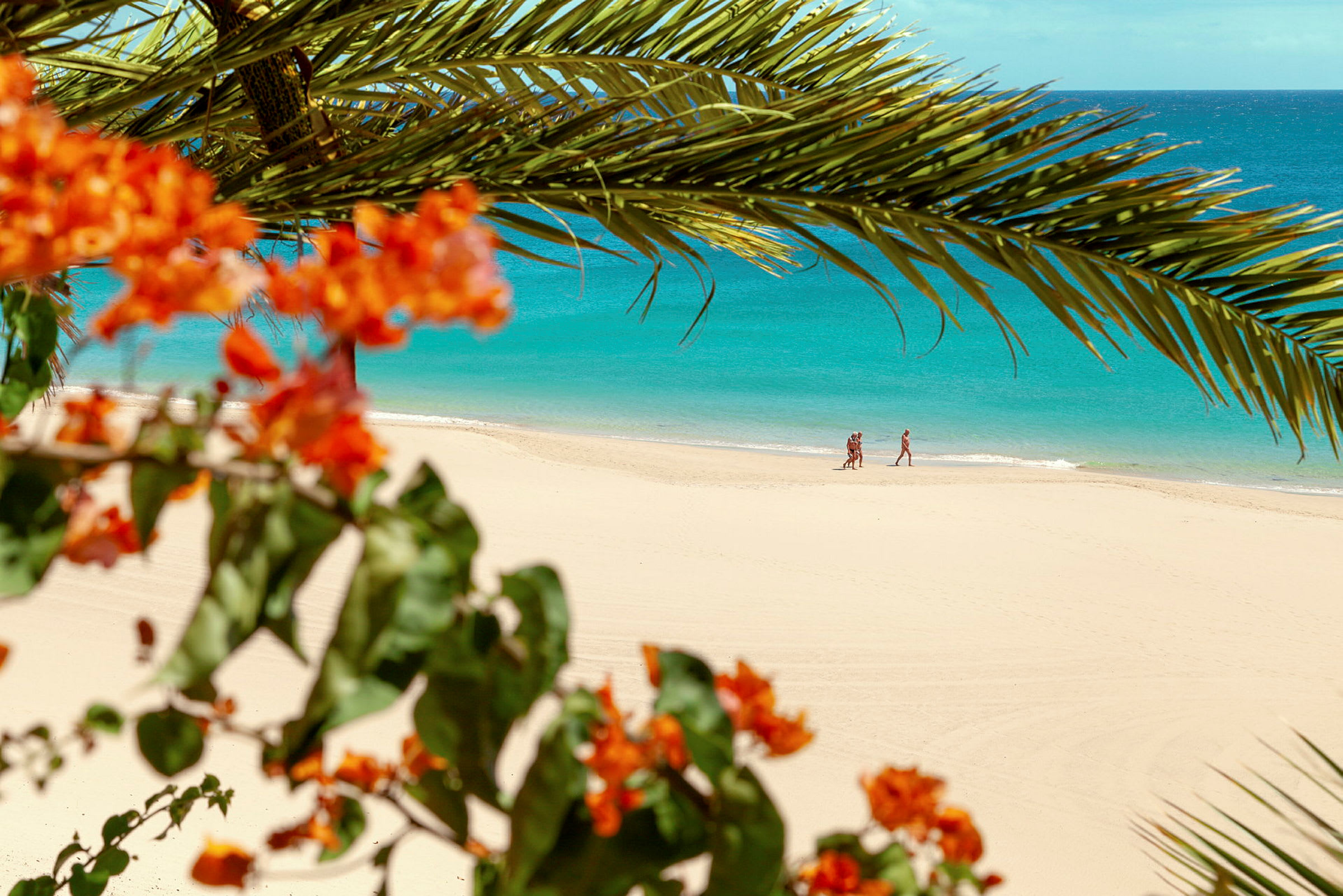 Strand med turkost vatten, omgiven av palmblad och röda blommor. (AI-genererad text)