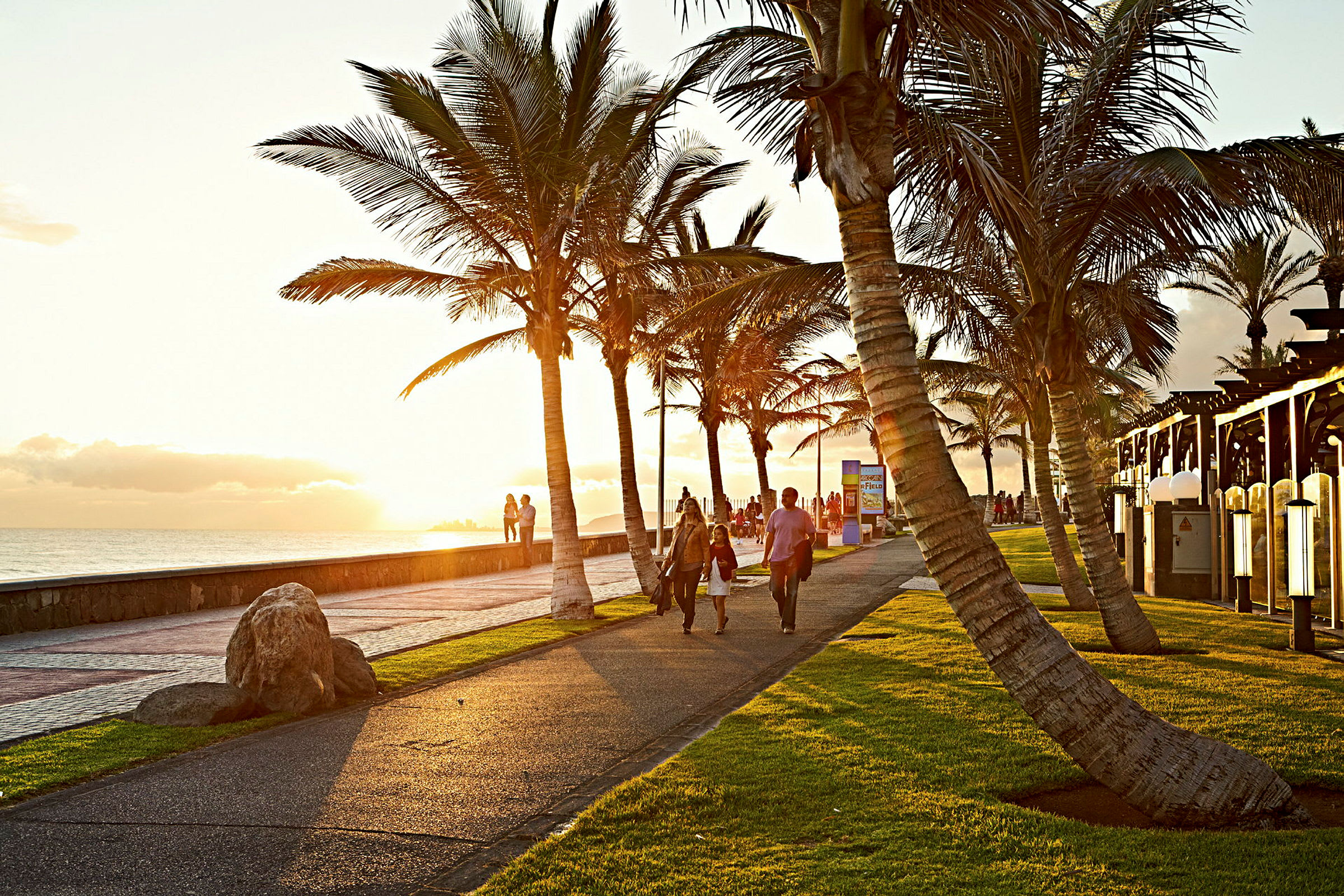 En promenad vid stranden med palmer i solnedgången. (AI-genererad text)