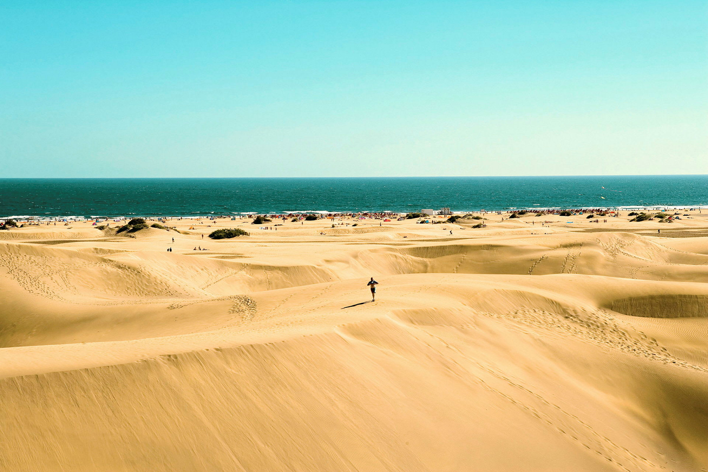 Sanddyner vid en strand med havet i bakgrunden. (AI-genererad text)