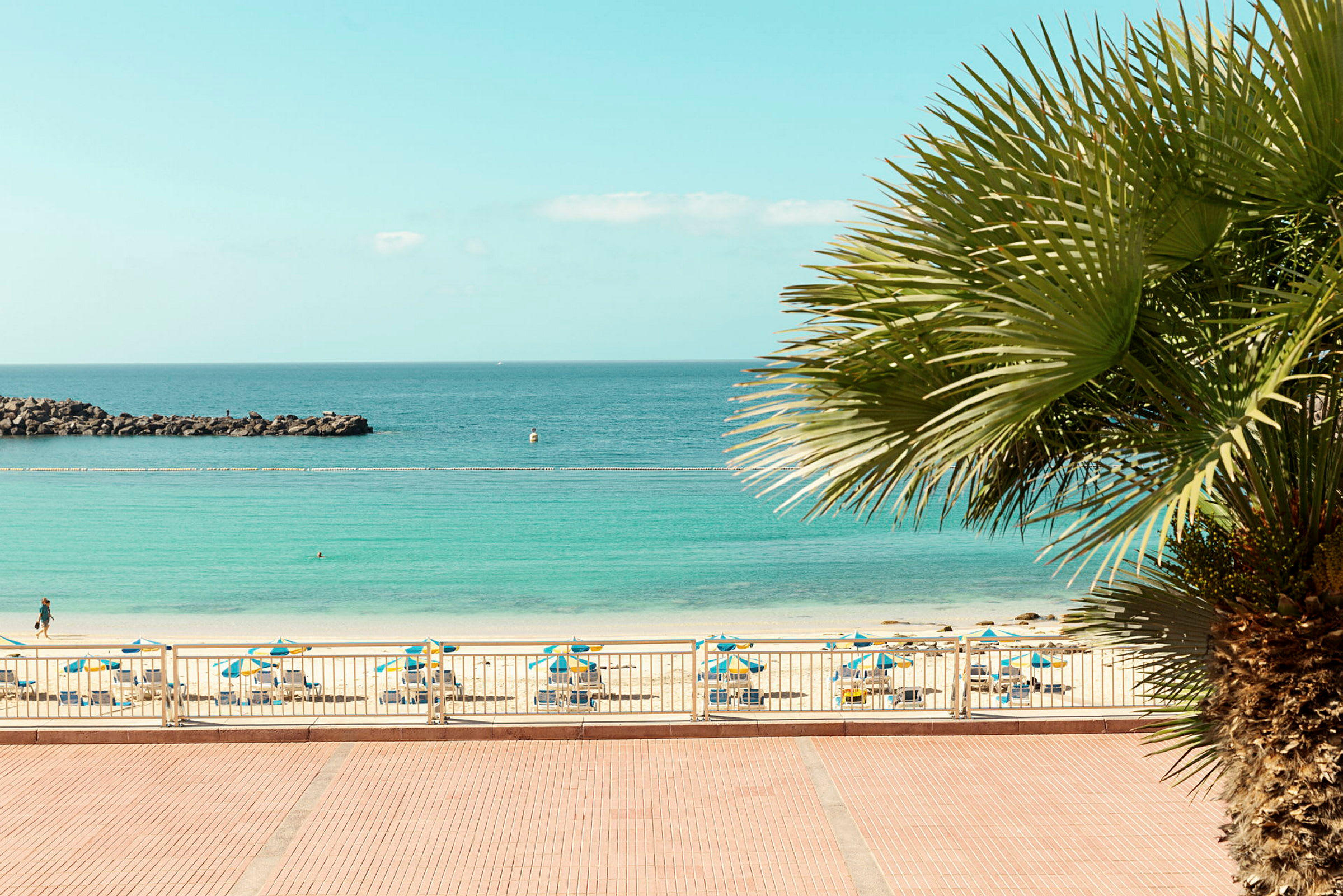 Palm som syns från en strand med parasoller och utsikt mot havet. (AI-genererad text)