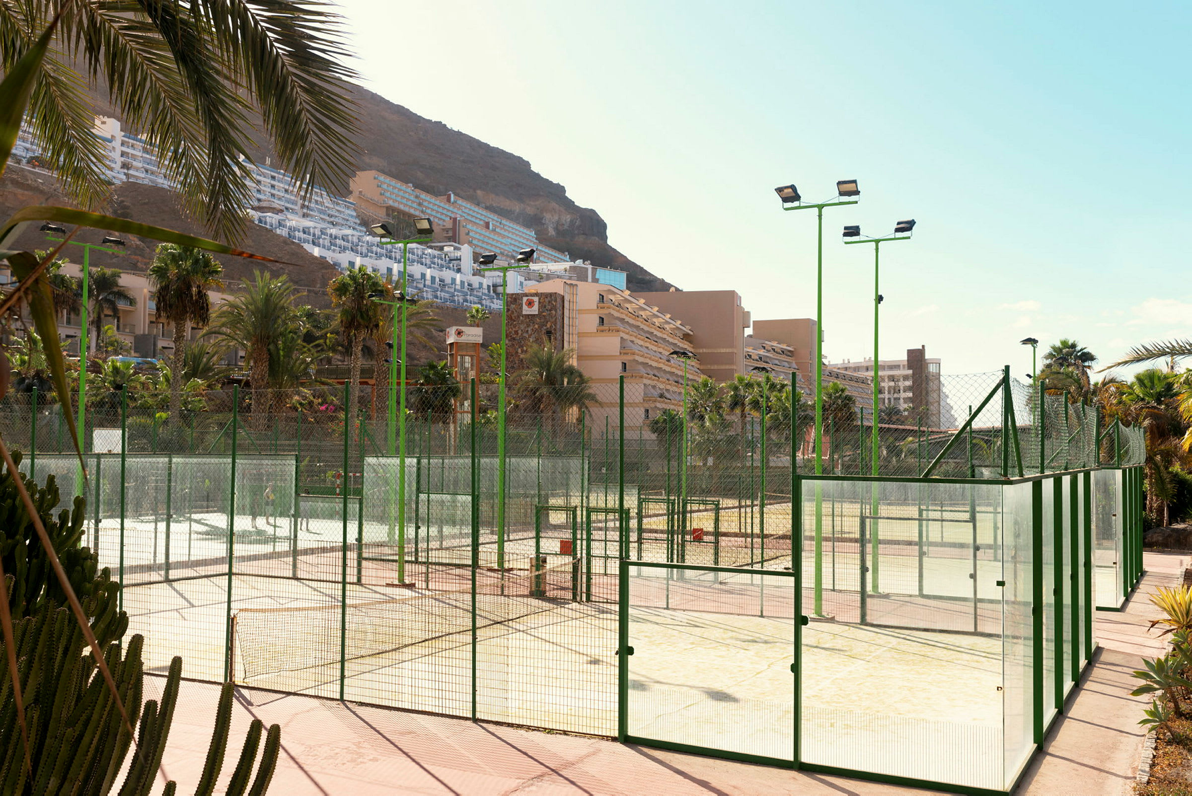 Bild på padelbana med höga gröna nät, omgiven av palmer och hotellbyggnader i bakgrunden. (AI-genererad text)