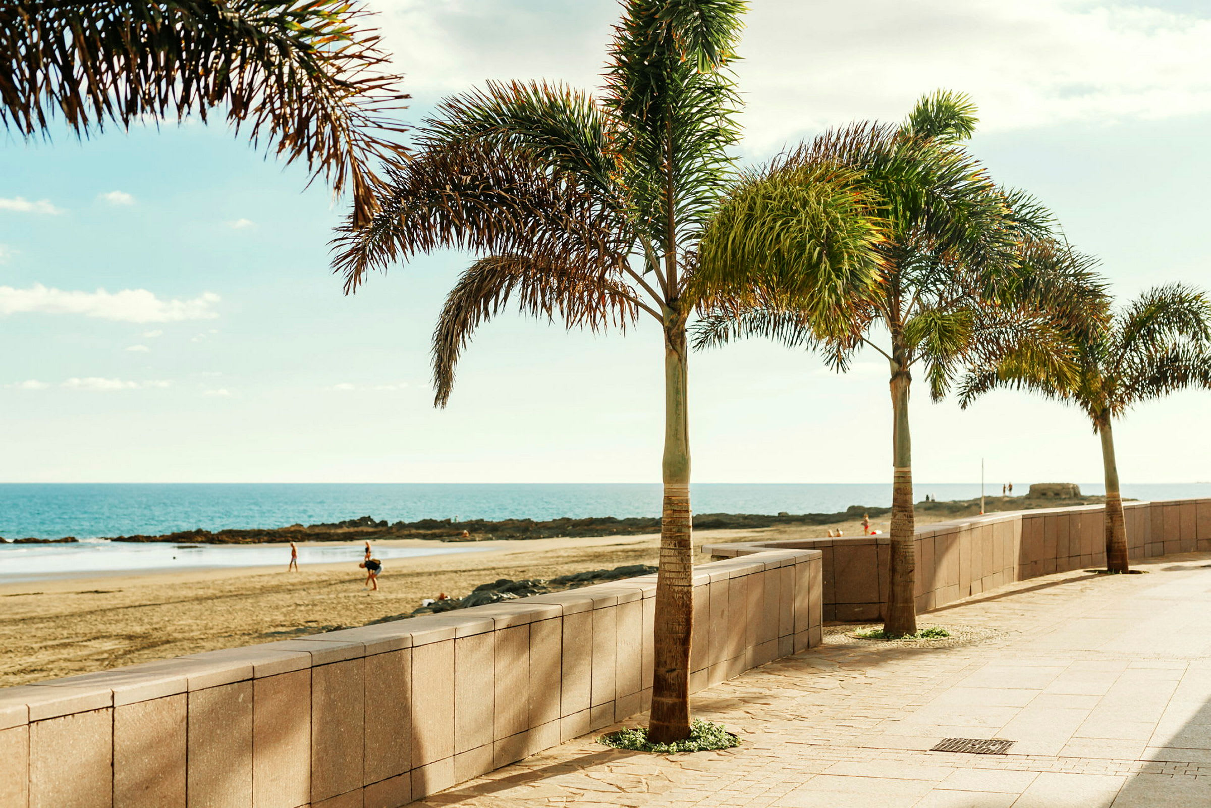 Palmträd längs en strandpromenad vid havet. (AI-genererad text)