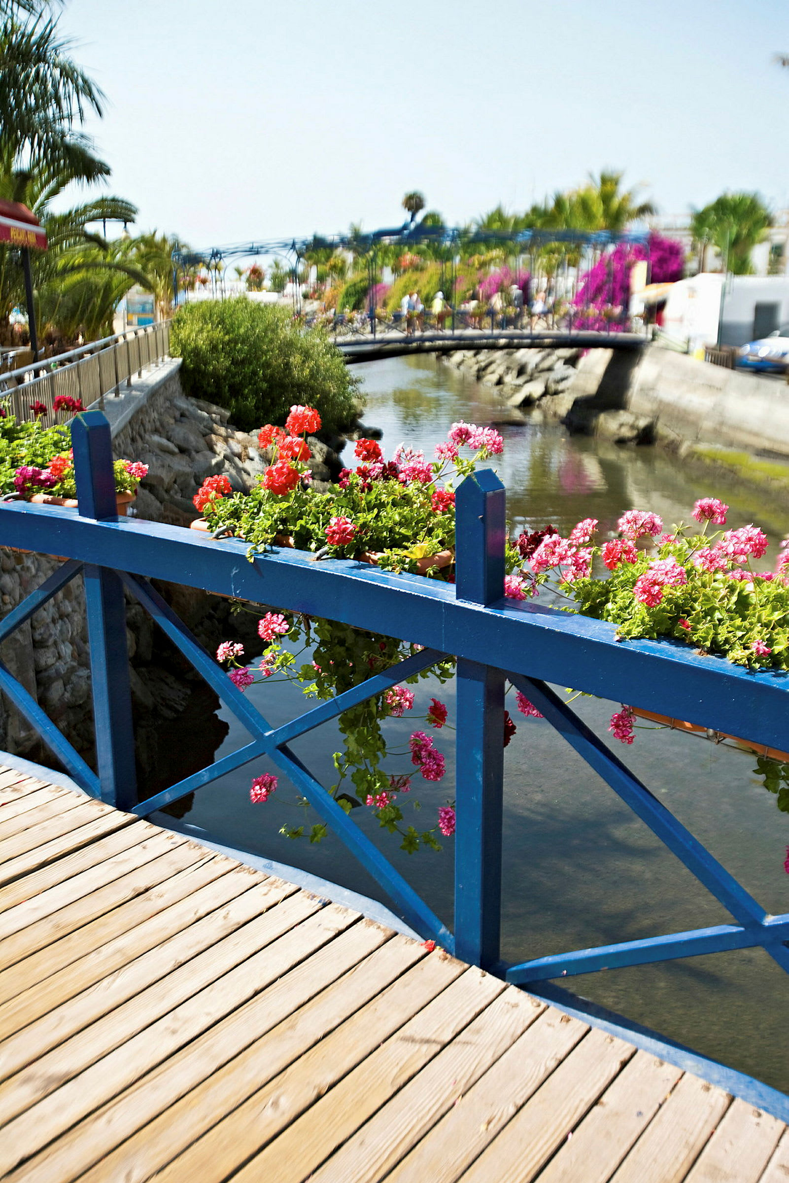 En bro med blått räcke dekorerad med blomsterlådor, över en liten kanal. (AI-genererad text)