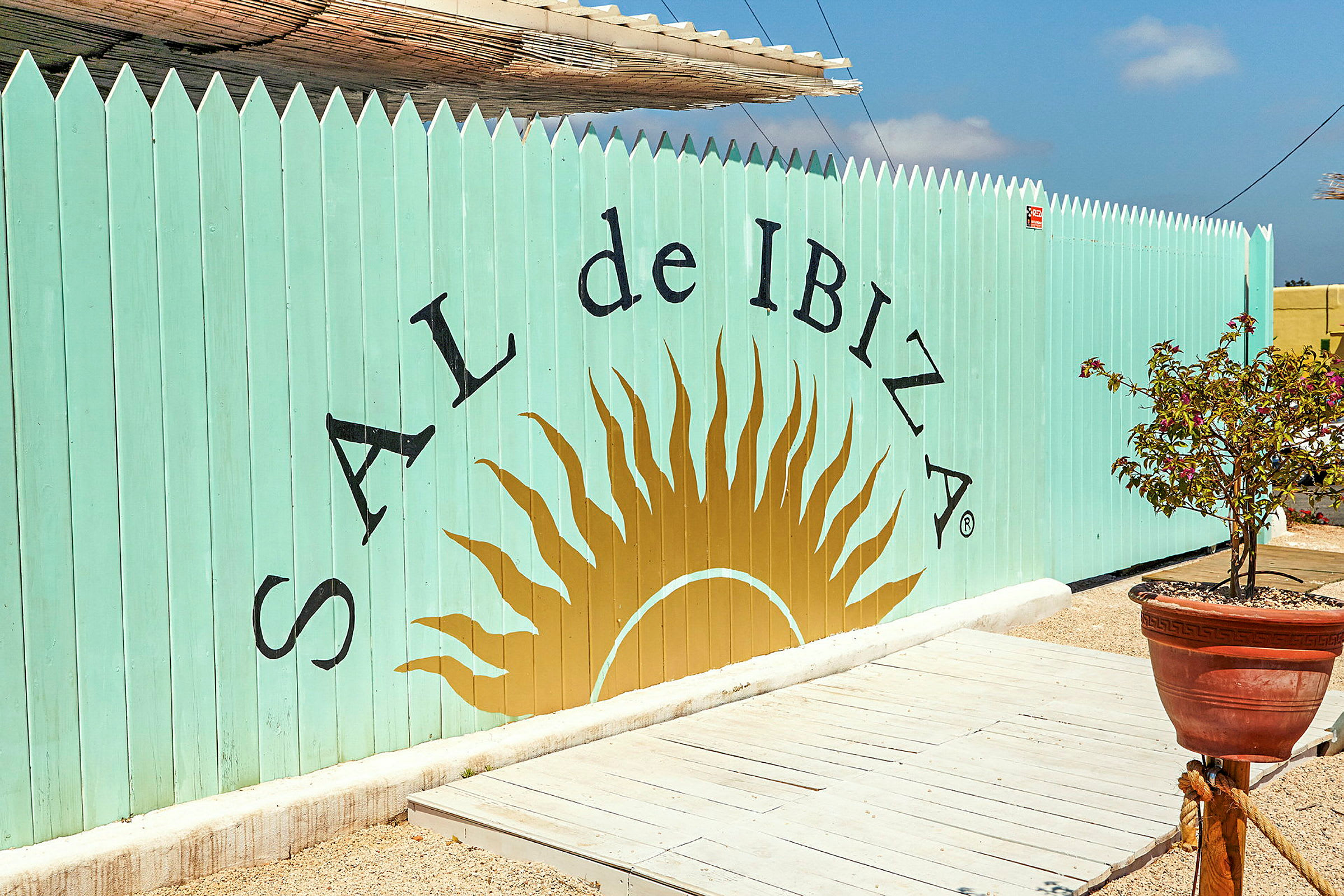 Väggen är målad mintgrön med texten 'Sal de Ibiza' och en gul solsymbol. Framför finns en krukväxt. (AI-genererad text)