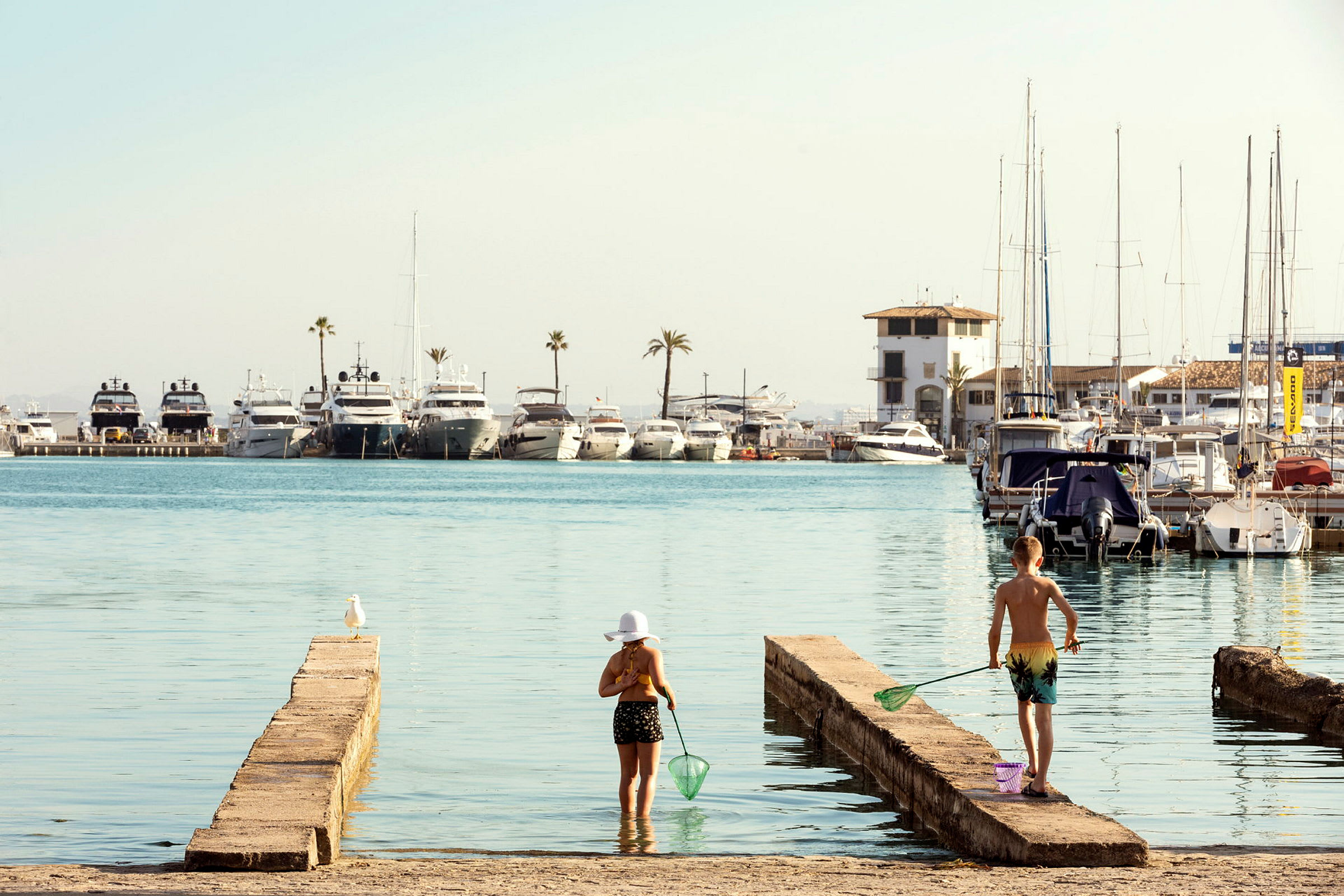 Port d'Alcúdia