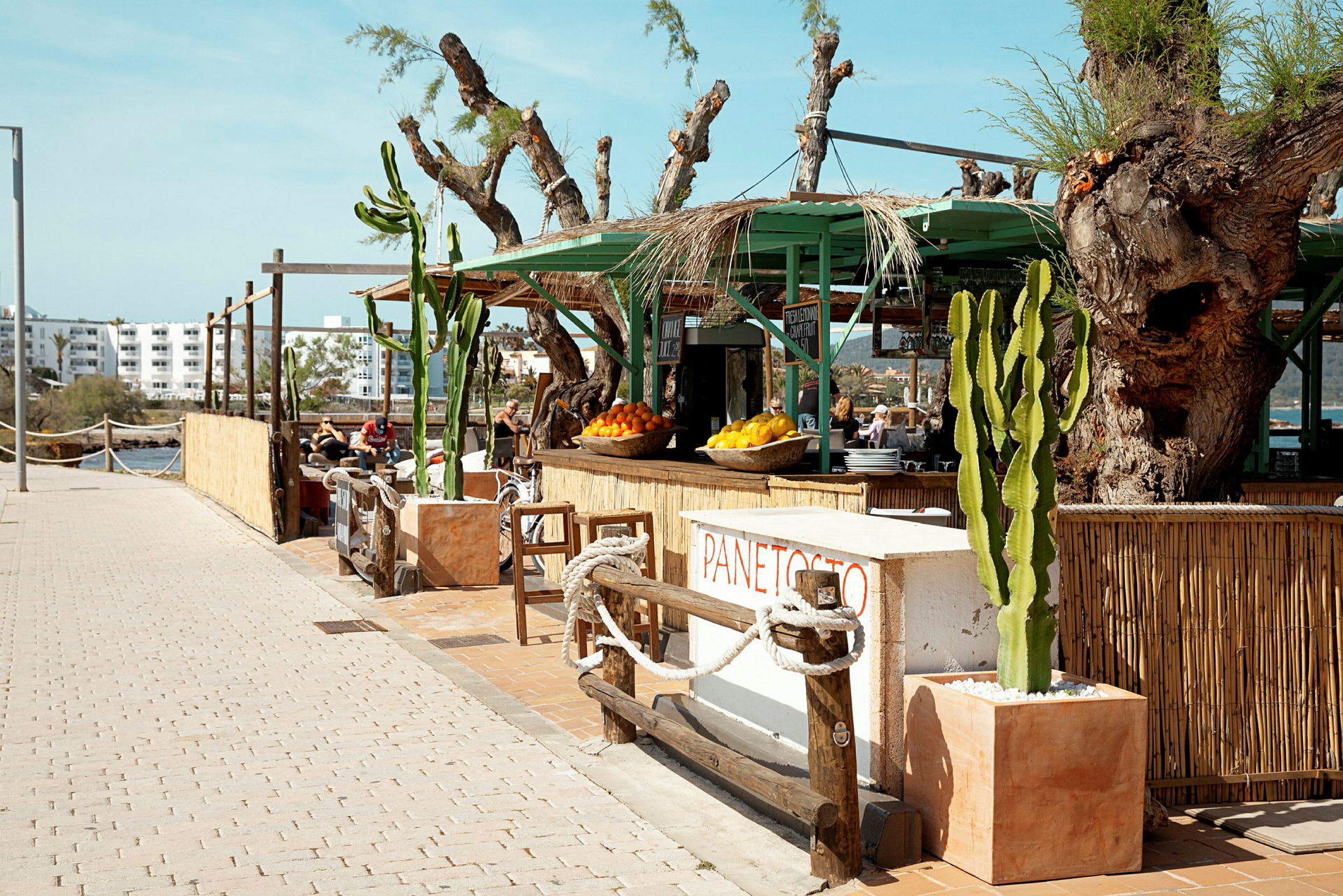 En strandnära restaurang med gröna detaljer, kaktusar och frukt i skålar. (AI-genererad text)