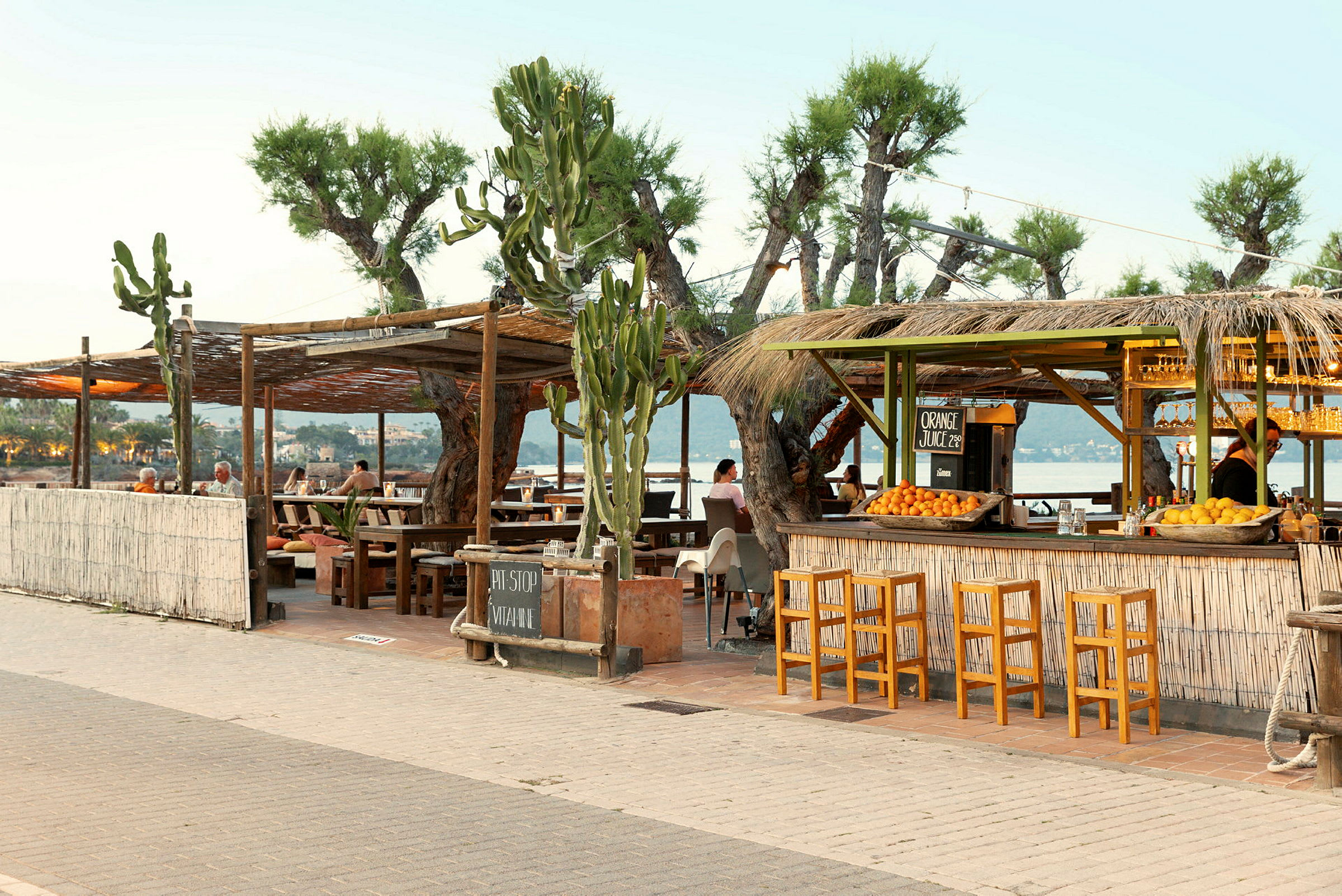En strandnära juicebar med kaktusar och tak av vass, omgiven av utemöbler. (AI-genererad text)