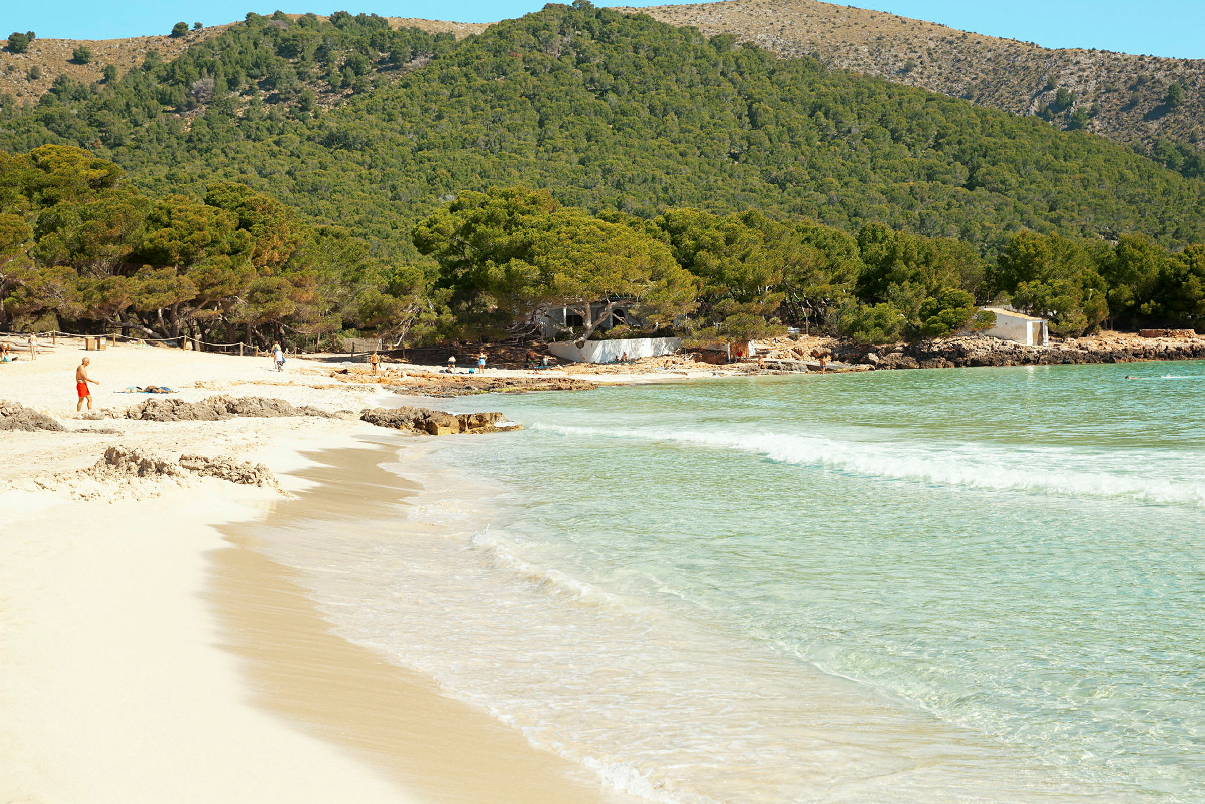 Strand med ljus sand, klart vatten och gröna träd i bakgrunden. (AI-genererad text)