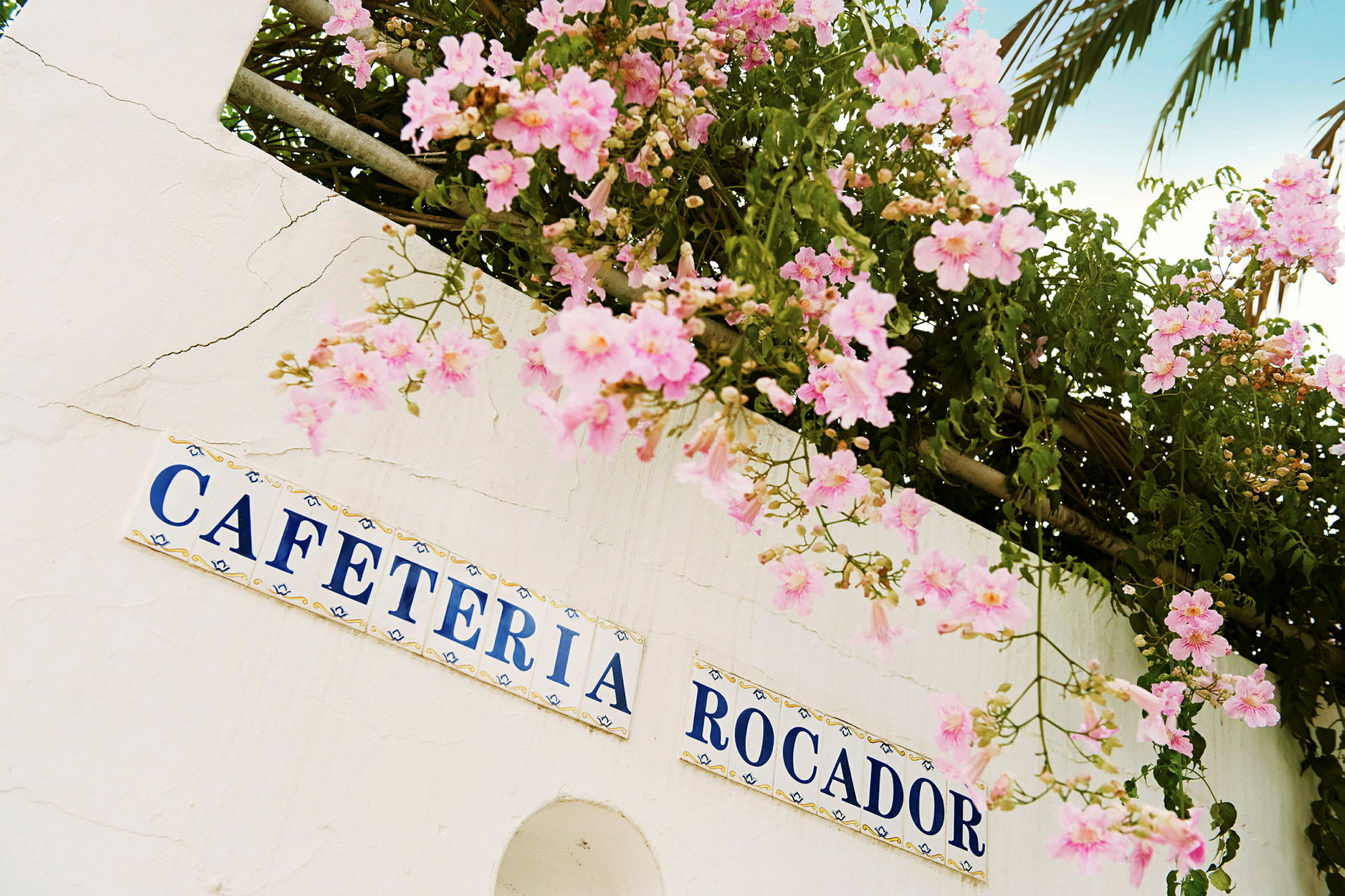 Vägg med skyltar som visar texten 'CAFETERIA ROCADOR', dekorerad med hängande rosa blommor. (AI-genererad text)