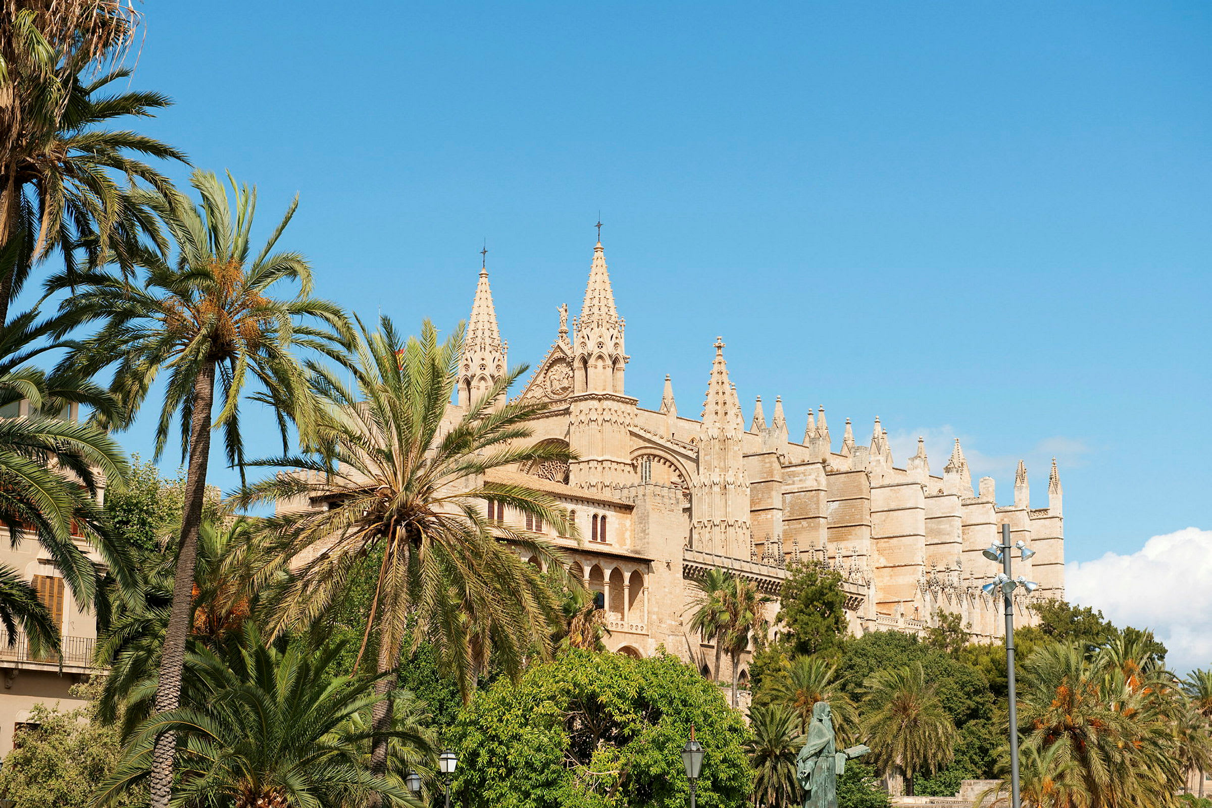 En bild av La Seu-katedralen bakom palmer. (AI-genererad text)