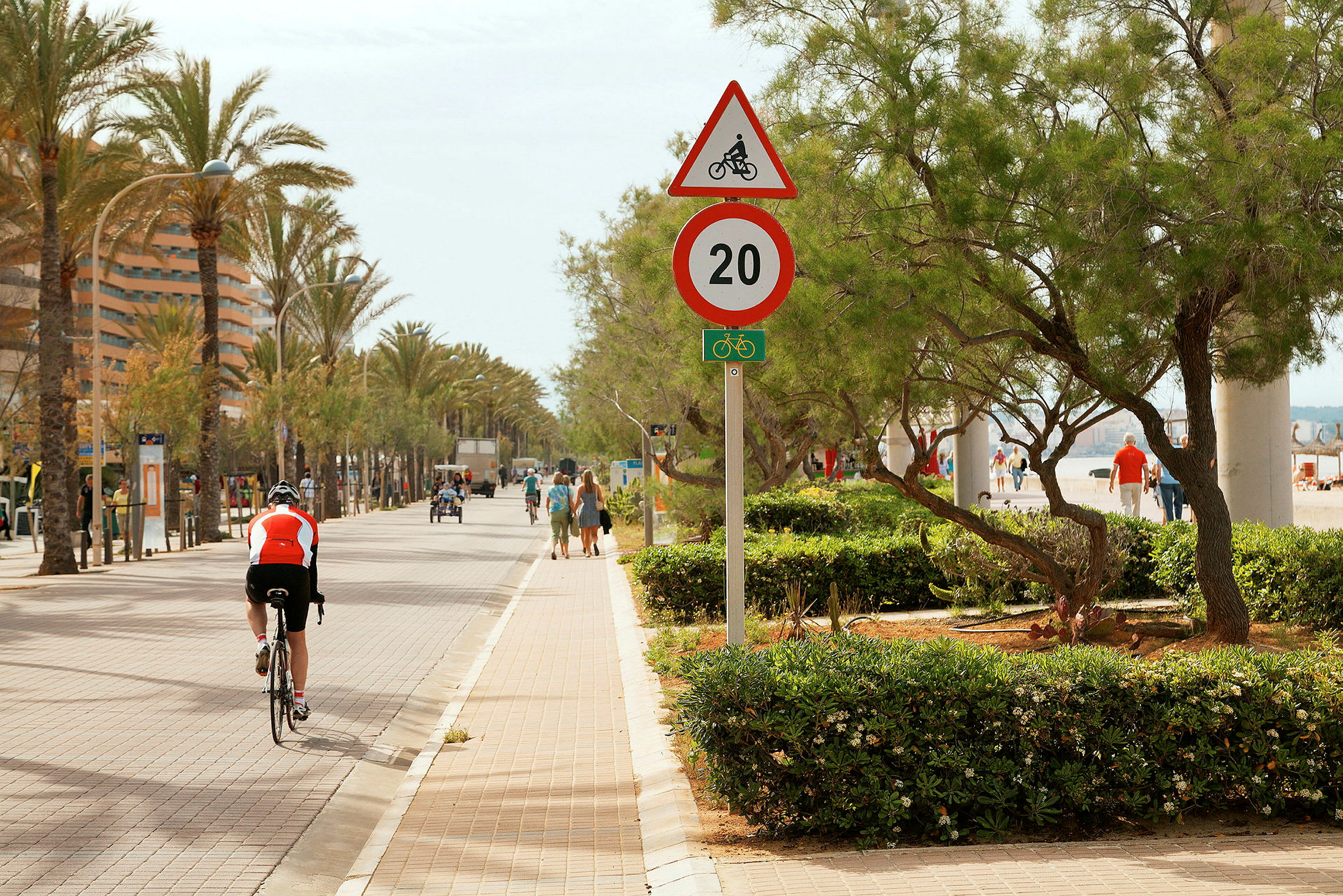 En cyklist på en gång- och cykelväg i en solig stad med palmer. (AI-genererad text)